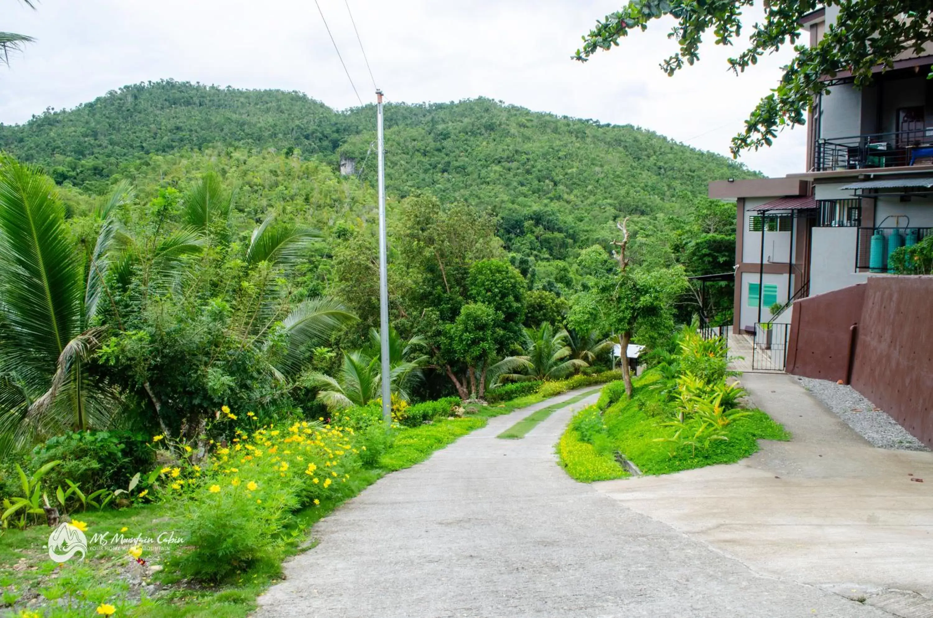 Property building in MS Mountain Cabin Property building in MS Mountain Cabin