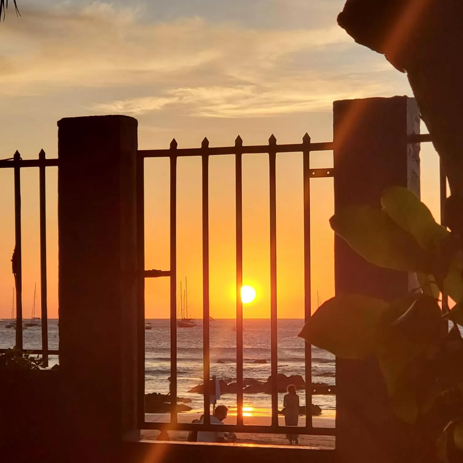 Garden view, Sunrise/Sunset in Hotel Villa Amarilla