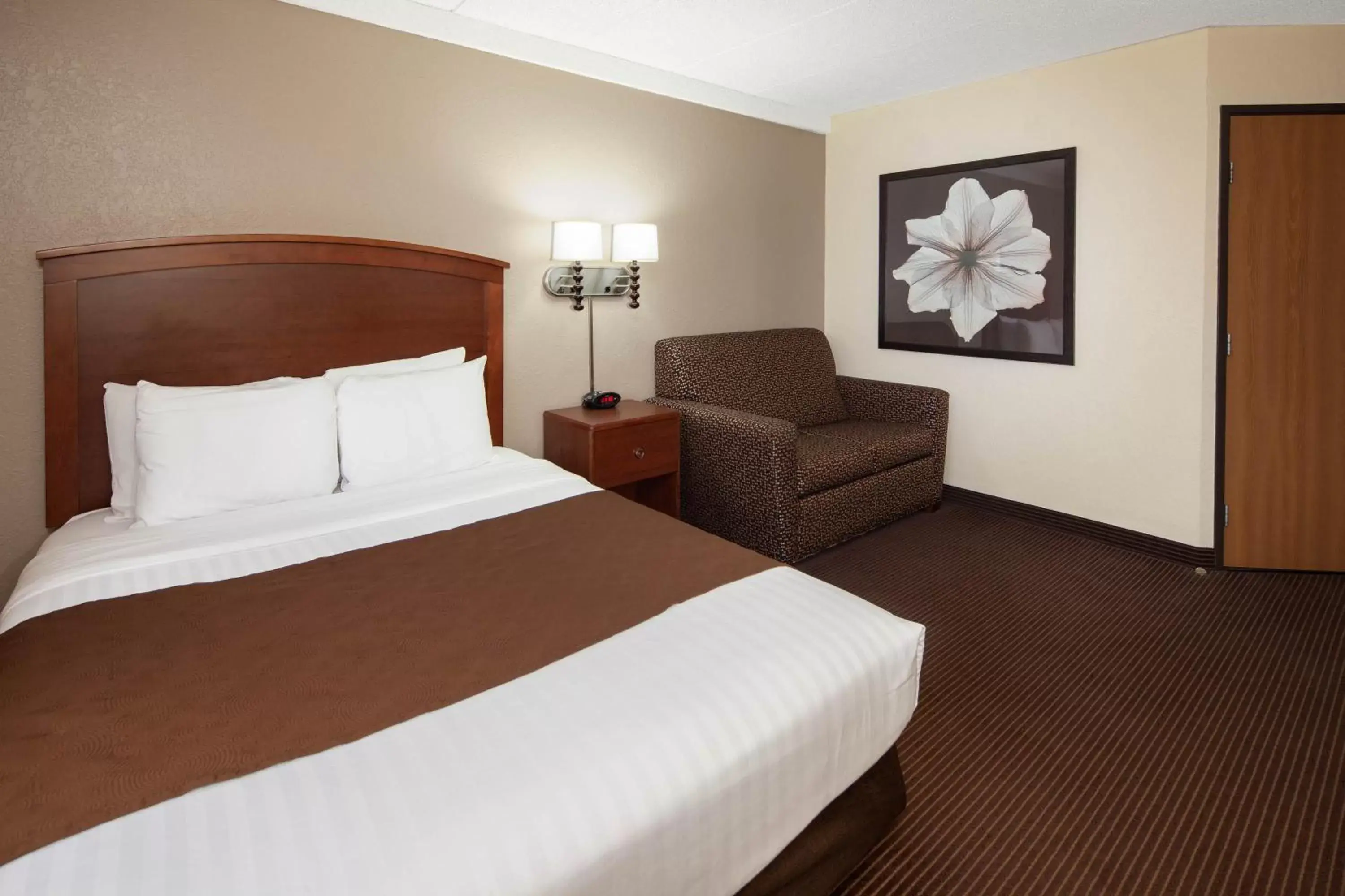 Photo of the whole room, Bed in AmericInn by Wyndham Ironwood