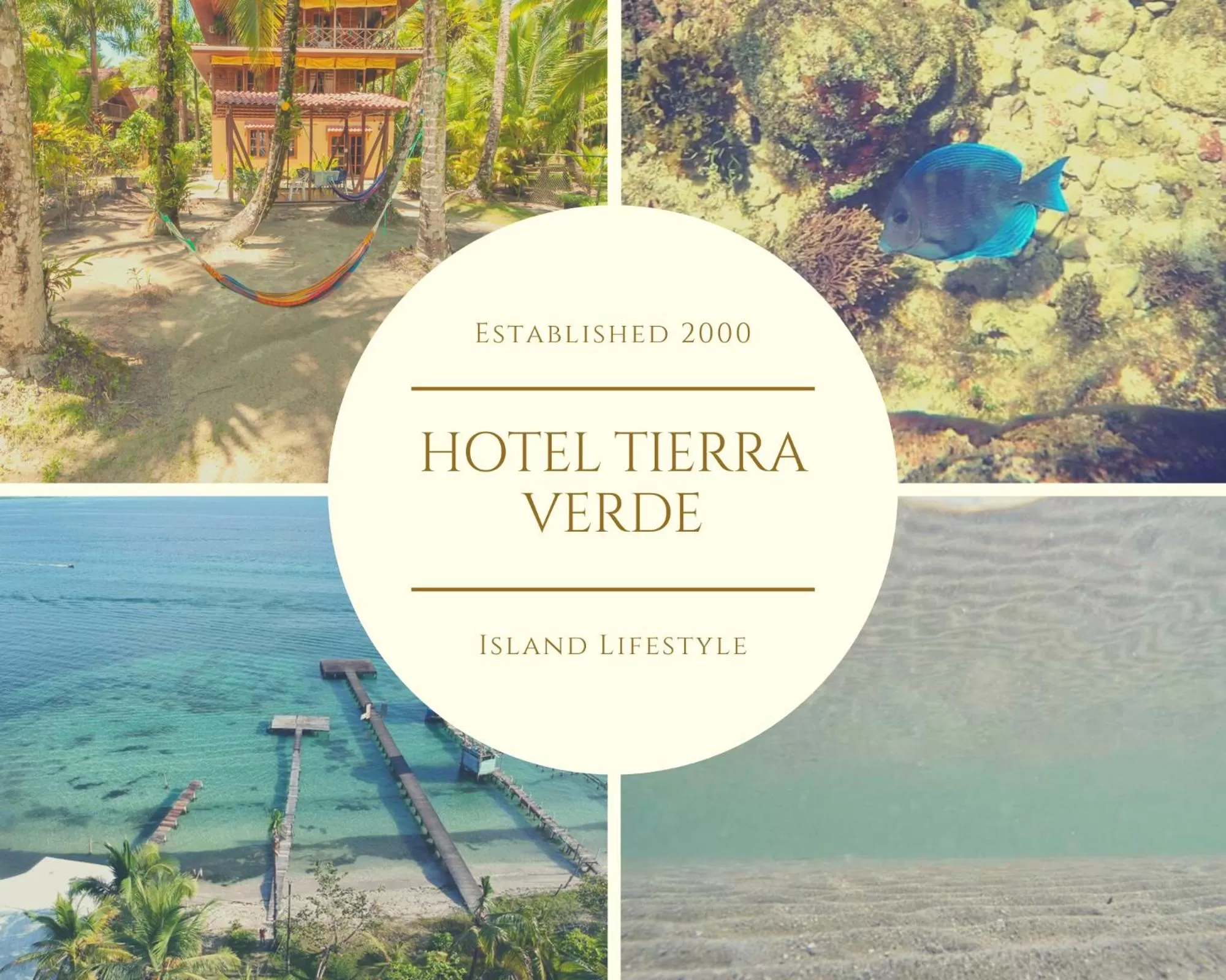 Hotel Tierra Verde Bed and Breakfast