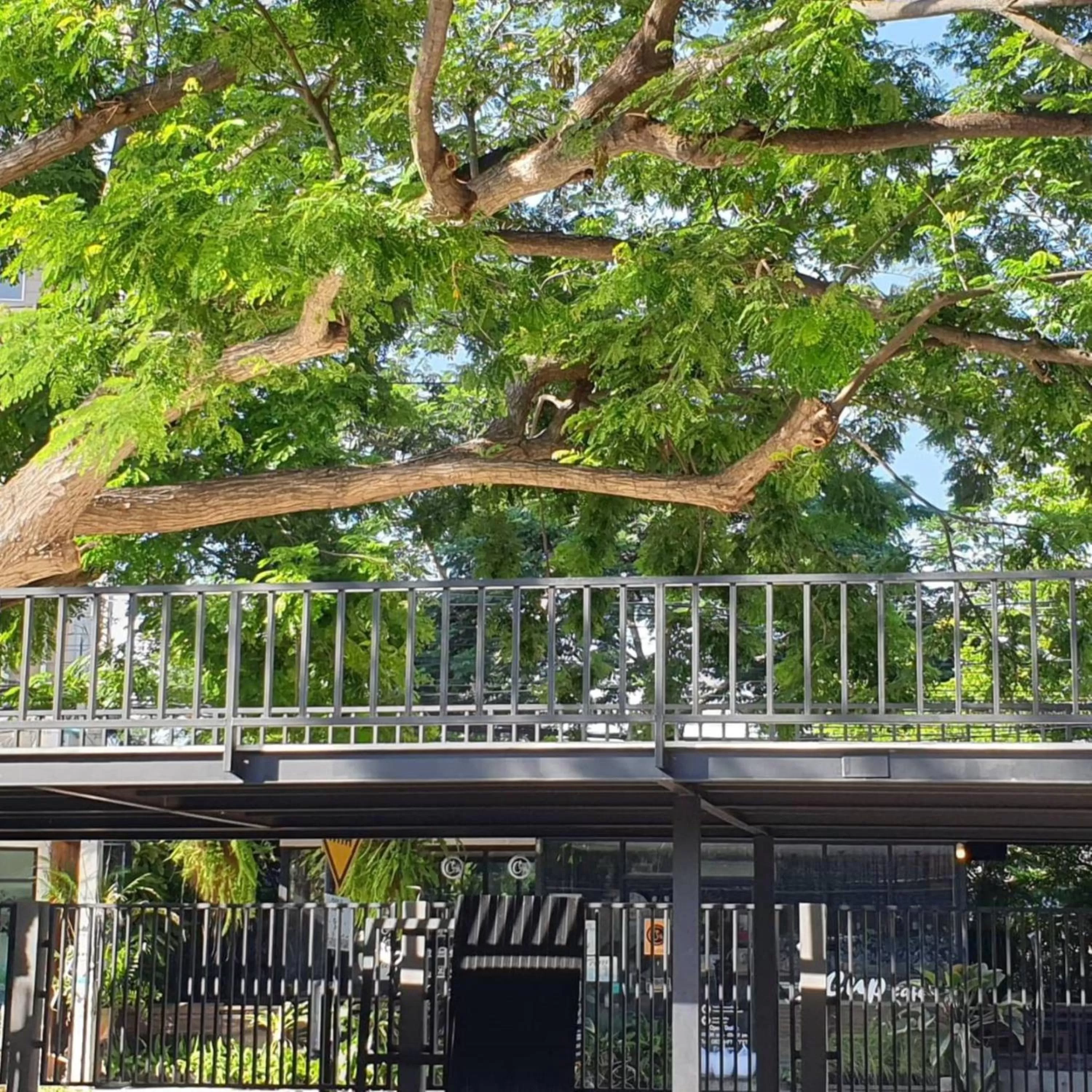 Other in Amara Resort Hua Hin