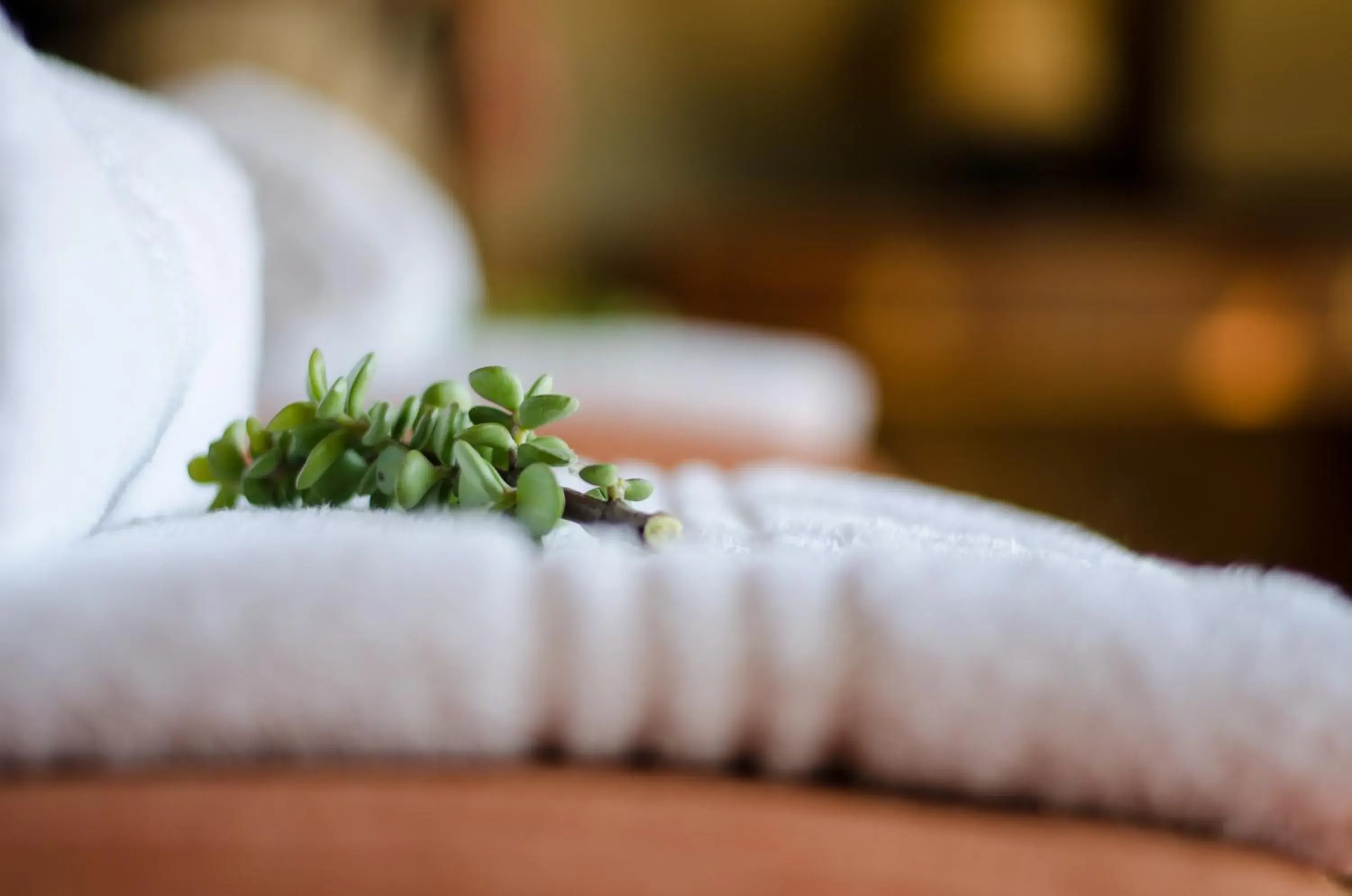 Decorative detail, Bed in Buffelsdrift Game Lodge