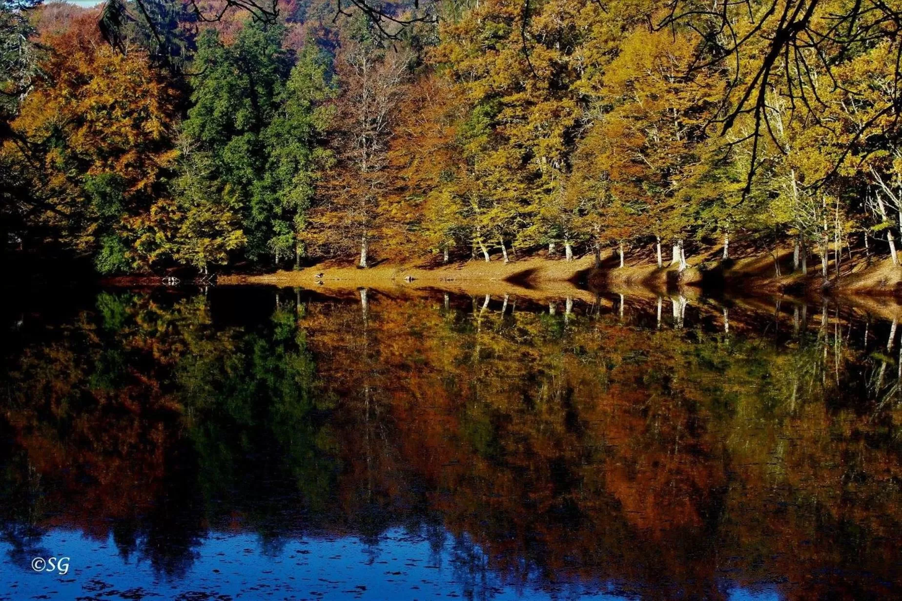 Natural landscape in B&B Le Ferule