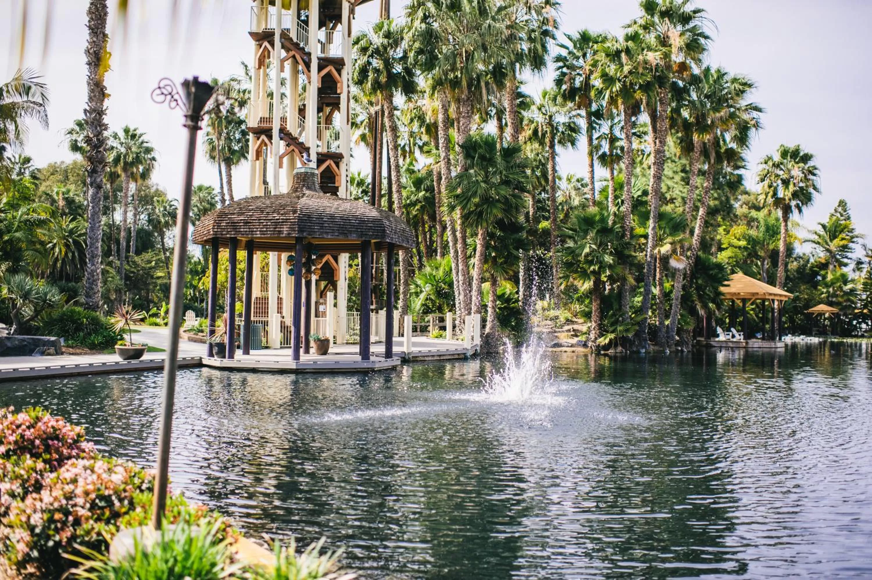 Communal lounge/ TV room in Paradise Point Resort & Spa