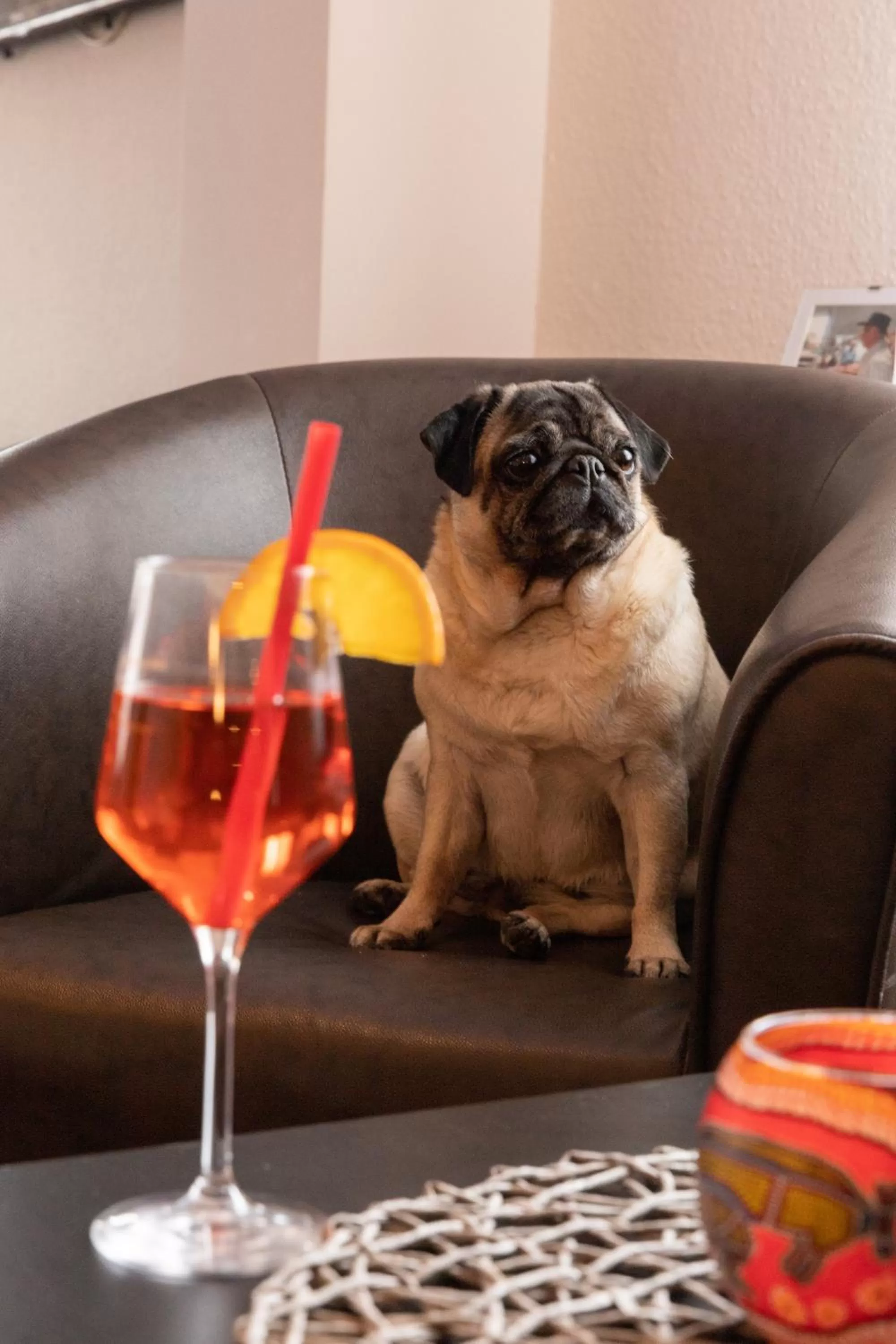 Food and drinks in Hotel zur Post Ochsendorf