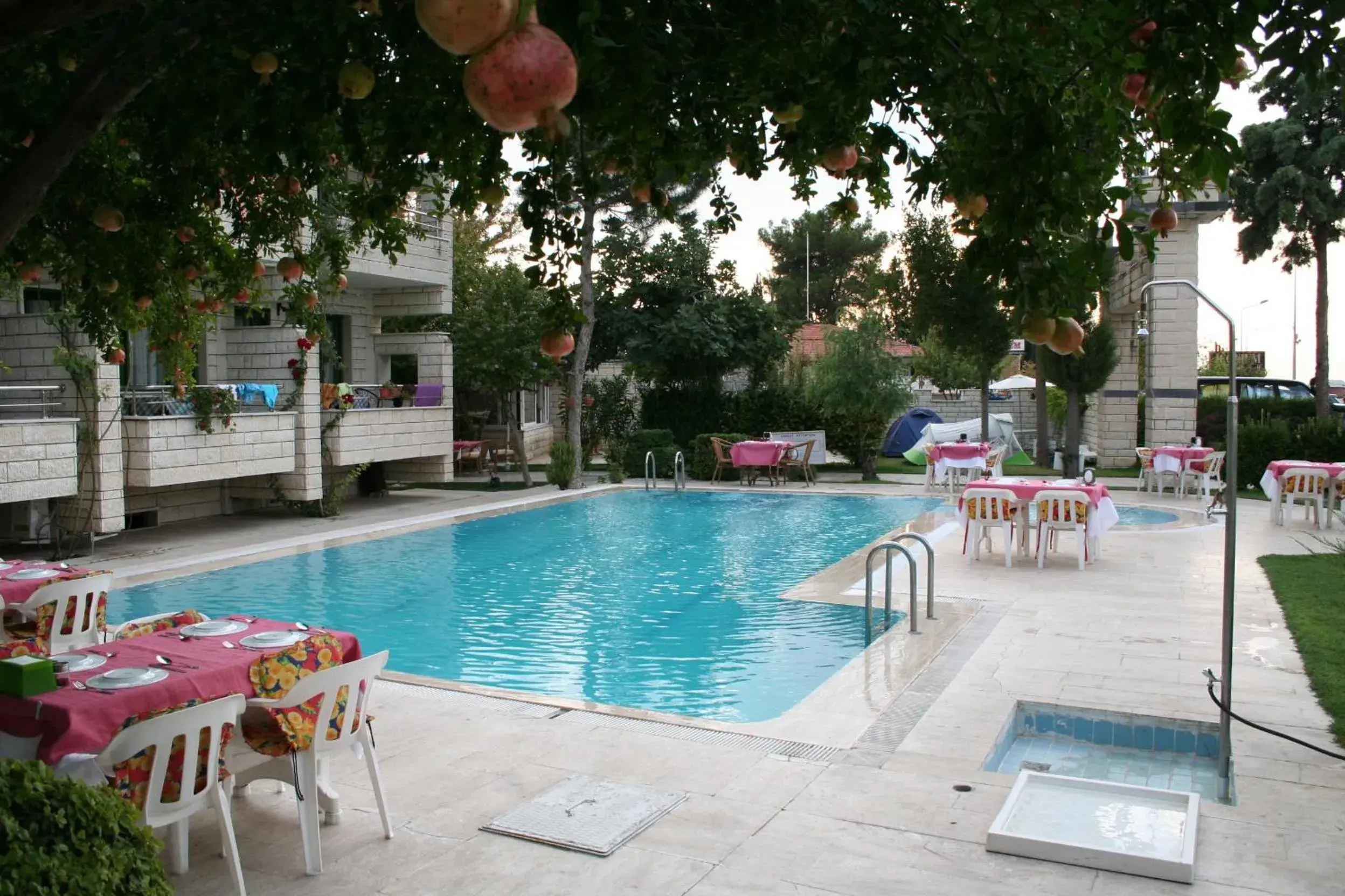 Day, Swimming Pool in Hotel HAL-TUR