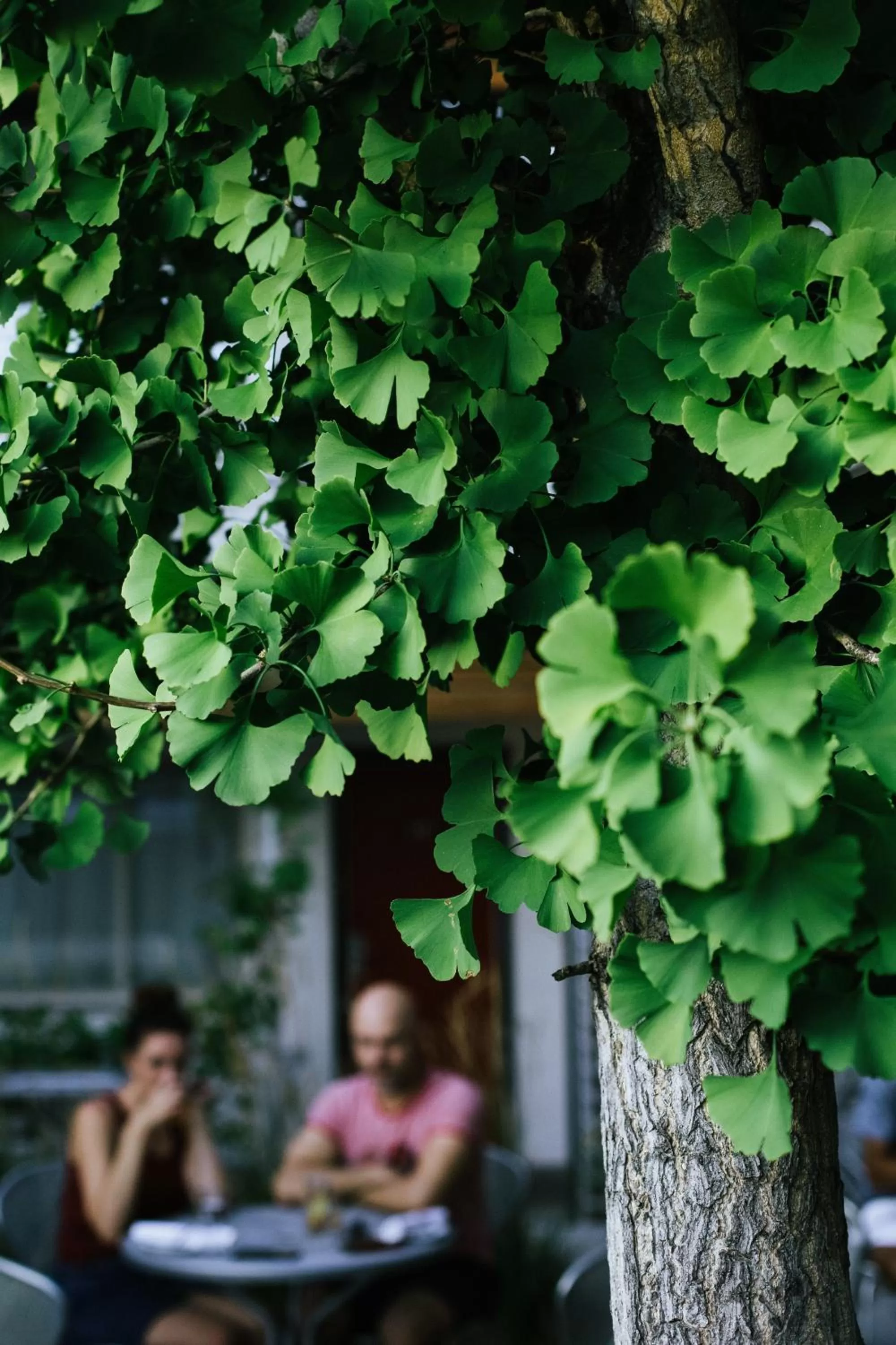 Patio in Modern Hotel