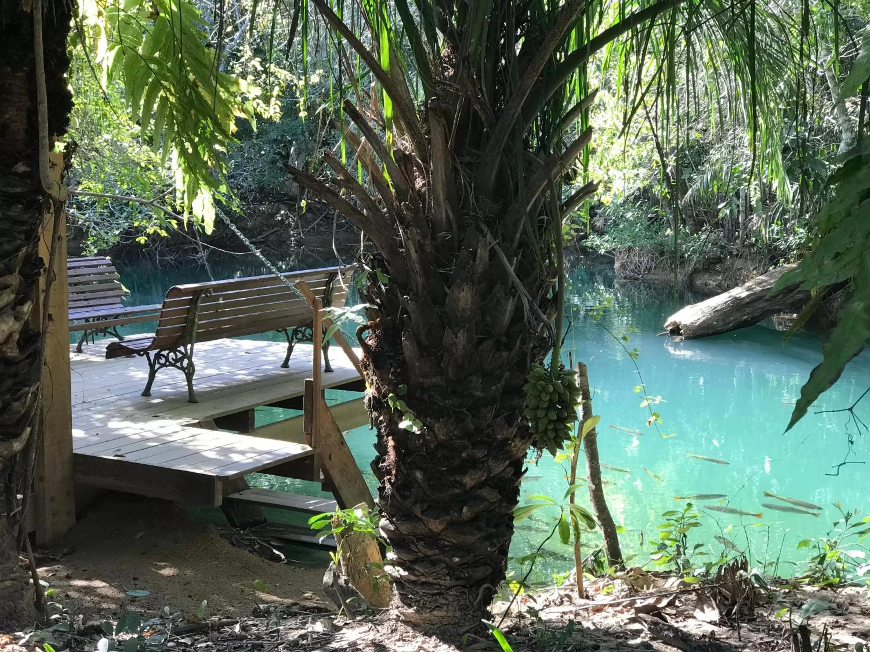 On site in Hotel Santa Esmeralda