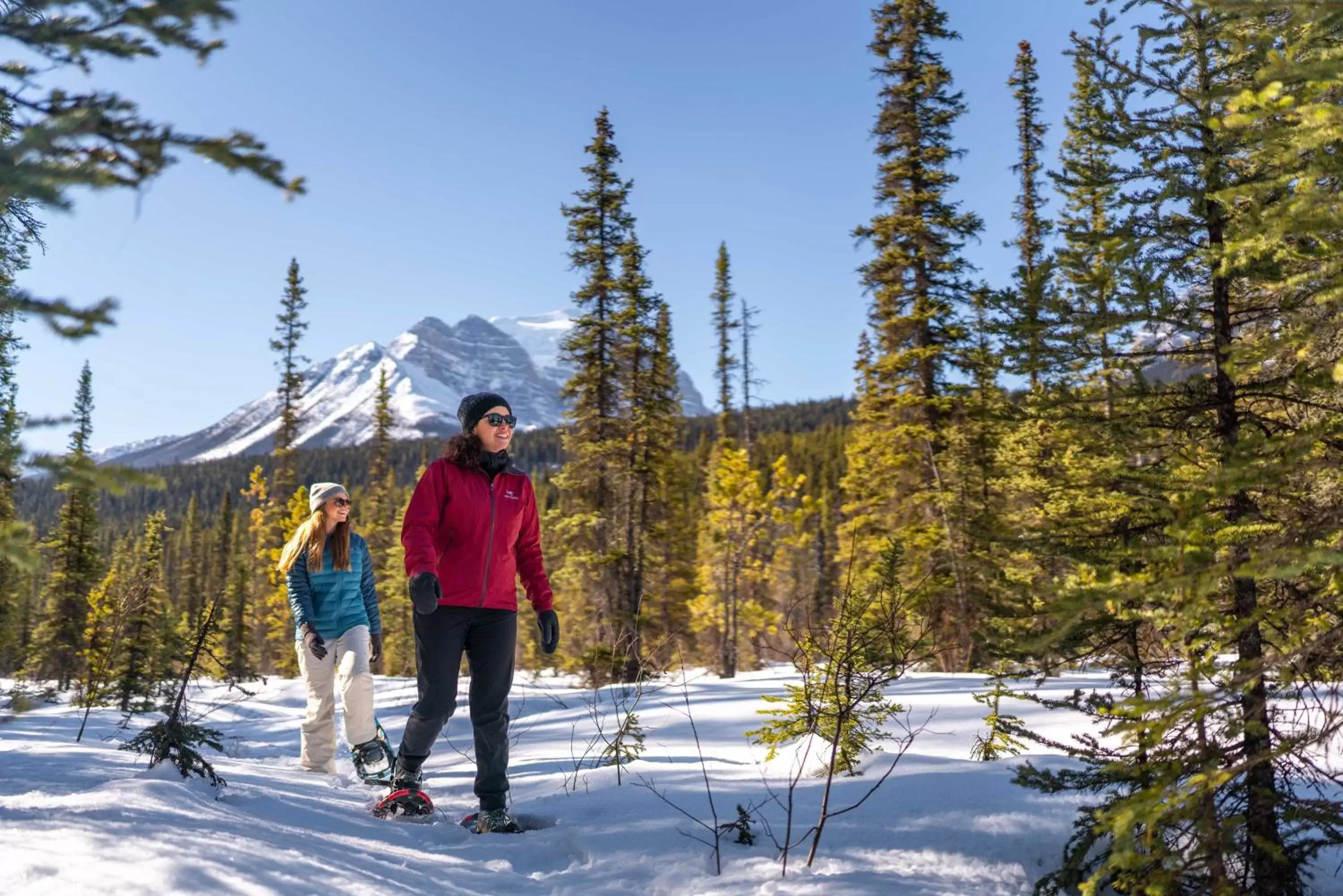 Mountain view, Winter in Lake Louise Inn