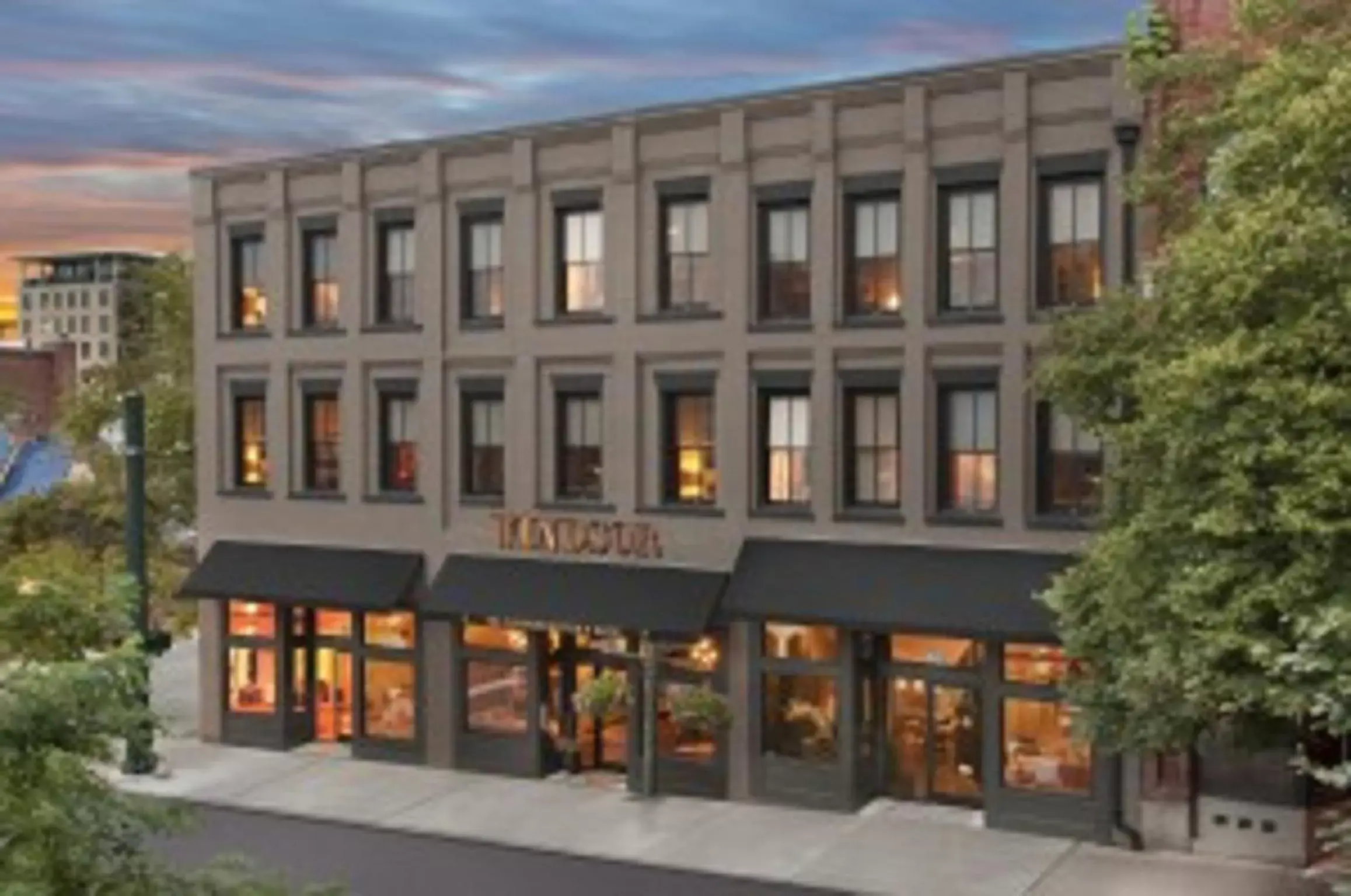 Facade/entrance, Property Building in The Windsor - Asheville