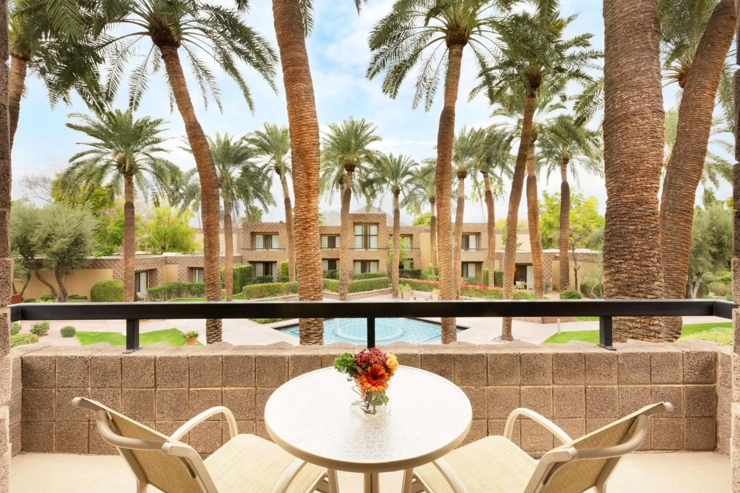 View (from property/room) in DoubleTree by Hilton Paradise Valley Resort Scottsdale