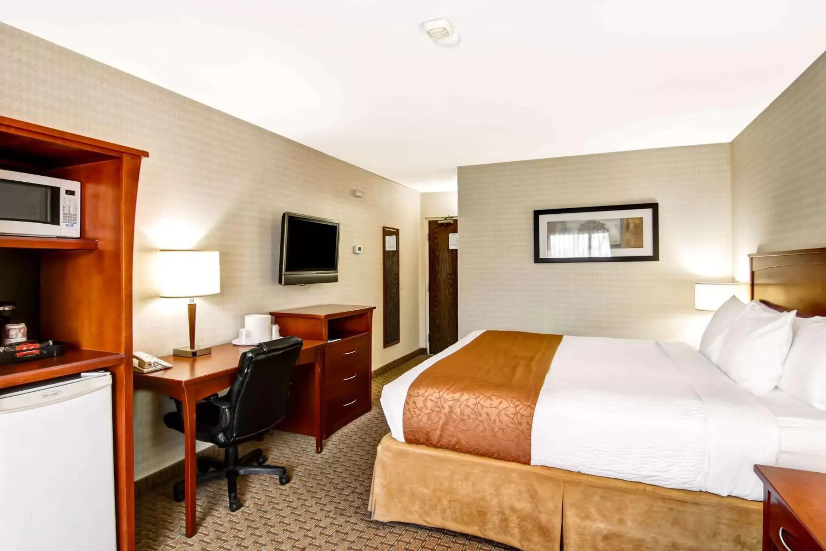 Photo of the whole room, Bed in Quality Inn Photo of the whole room, Bed in Quality Inn