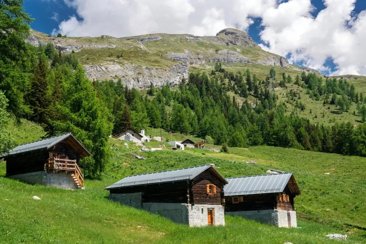 Le Mayen de Colombire