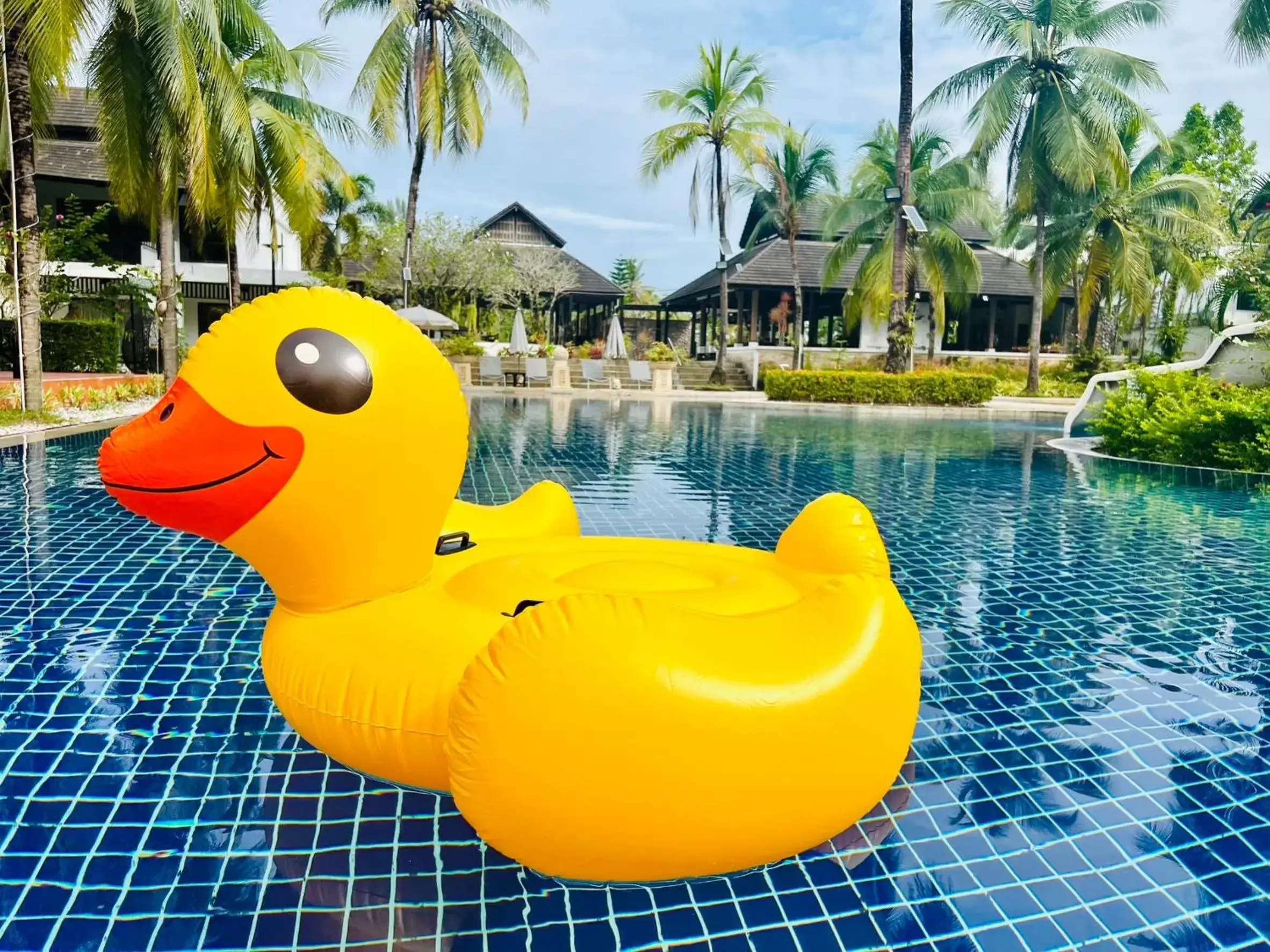 Swimming Pool in Palm Galleria Resort-SHA Extra Plus