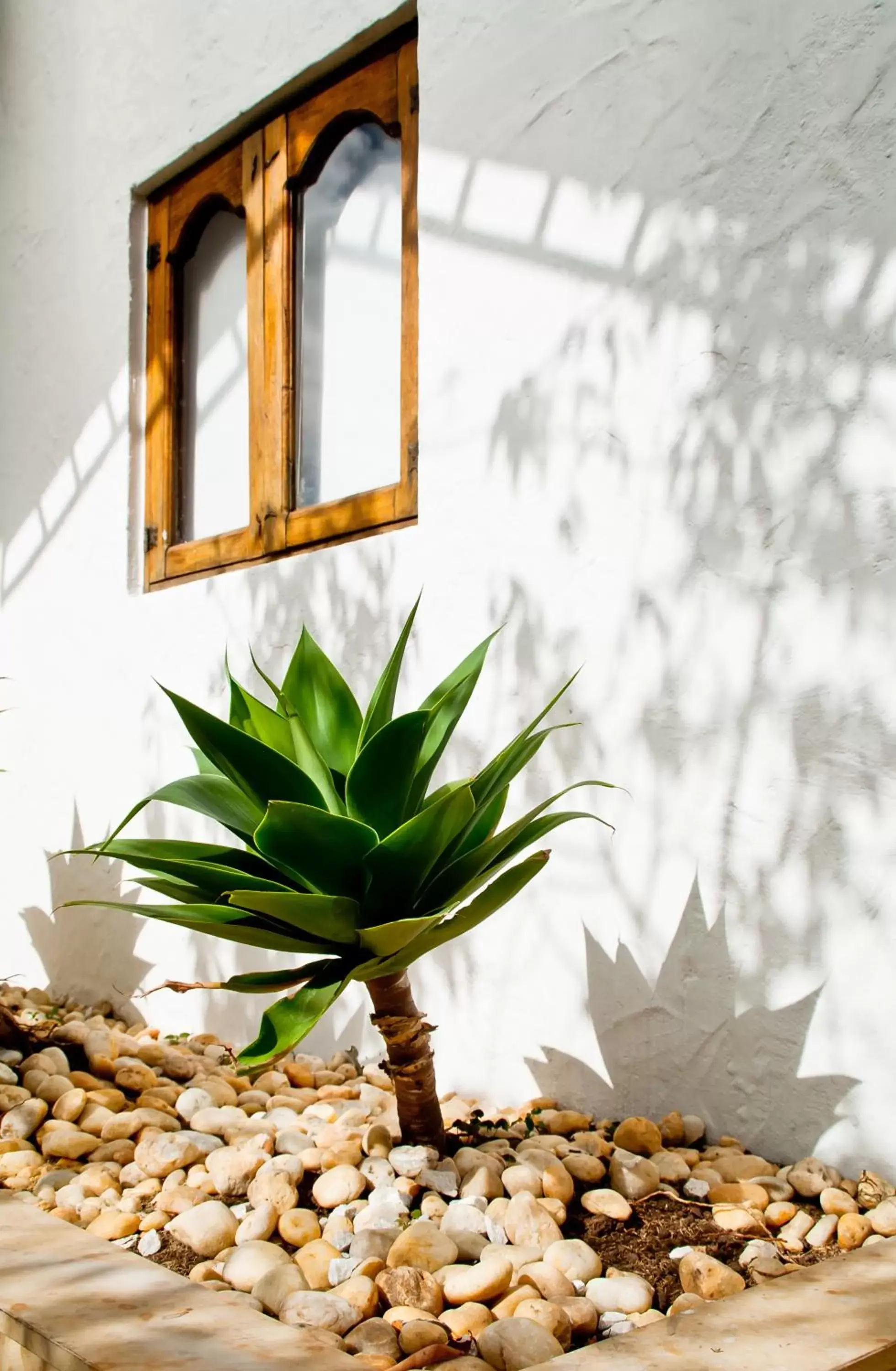 Decorative detail in Hotel Casona Usaquen