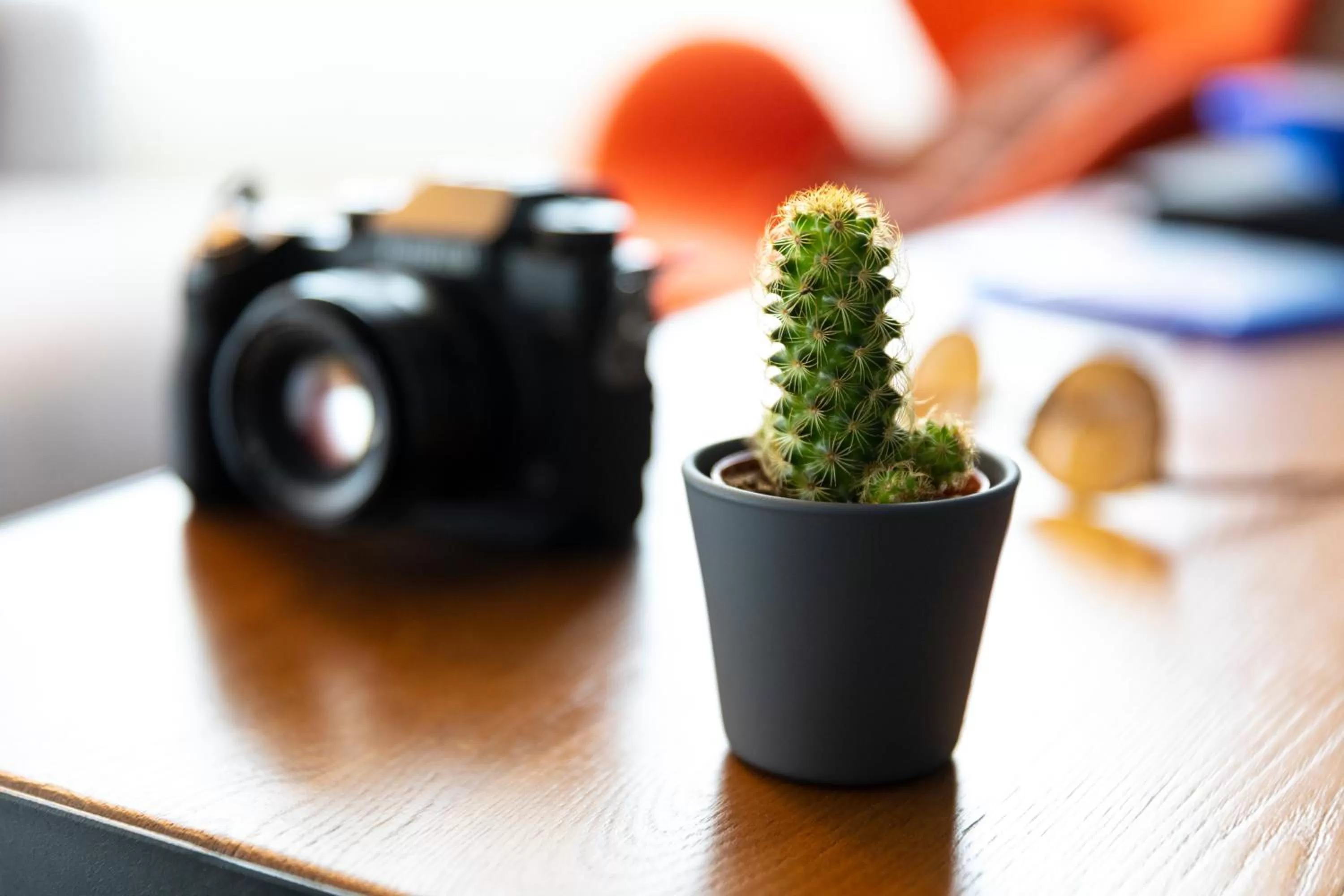 Decorative detail in Pentahotel Rostock