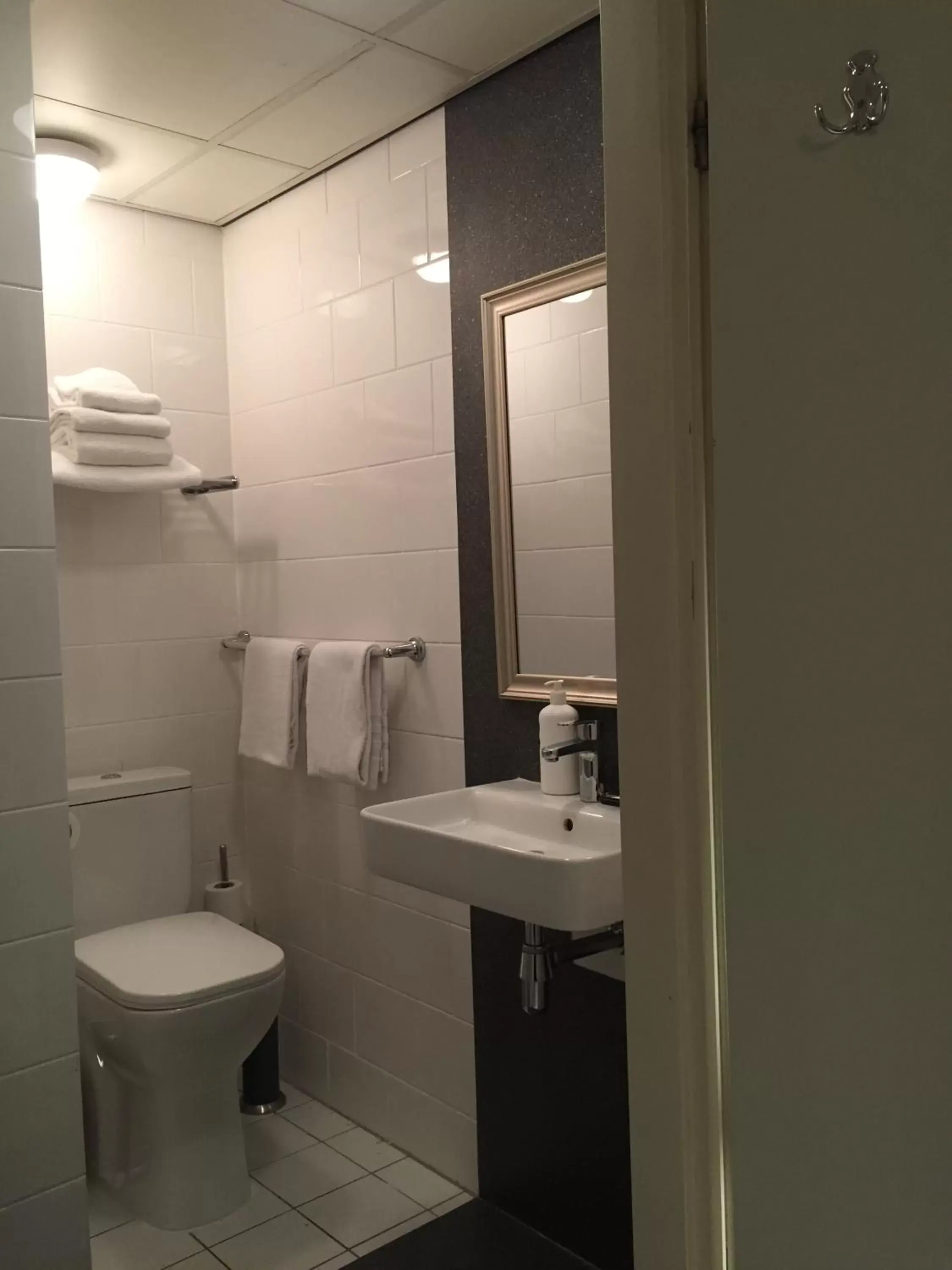 Bathroom in France Hotel