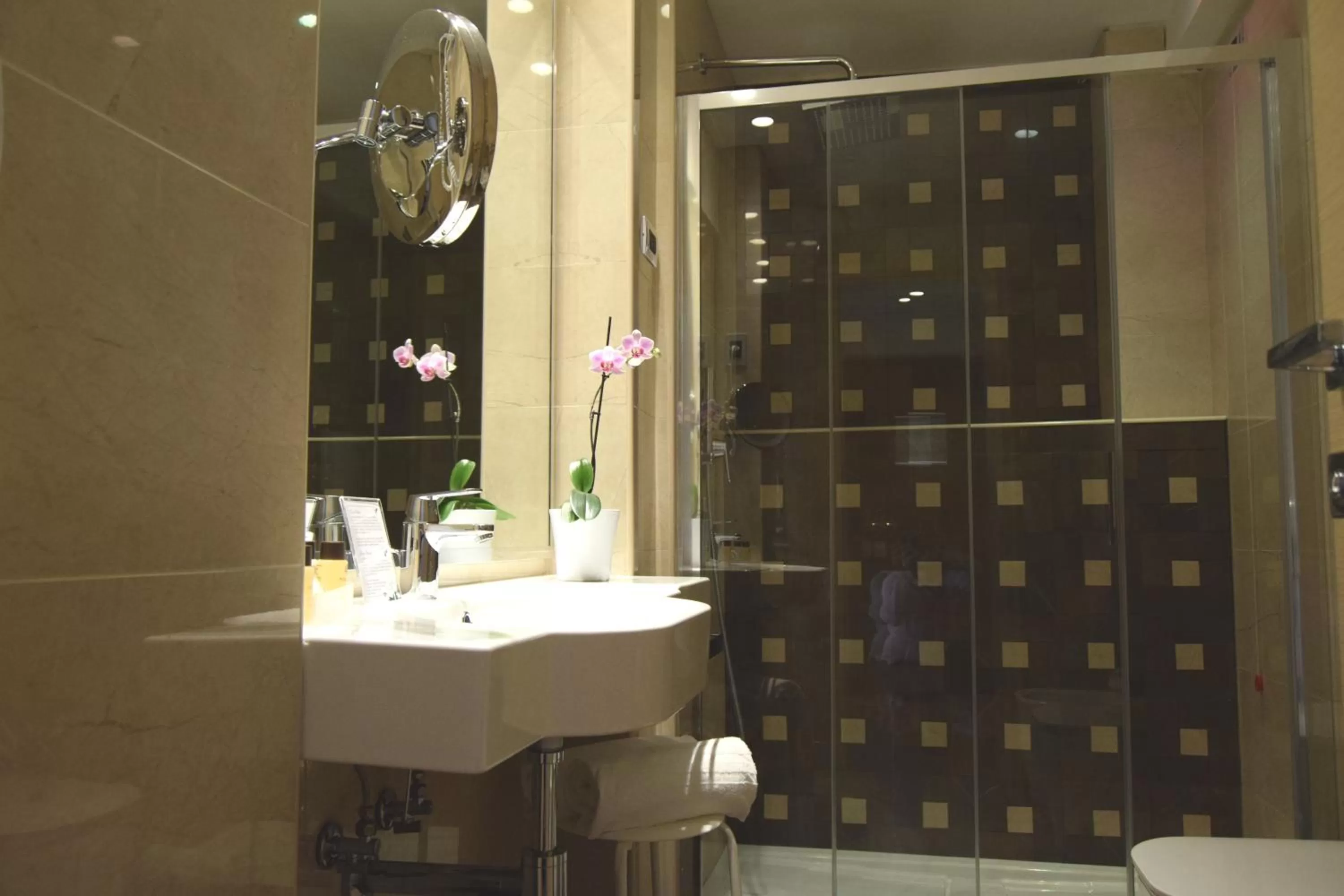 Bathroom in Hotel Continental