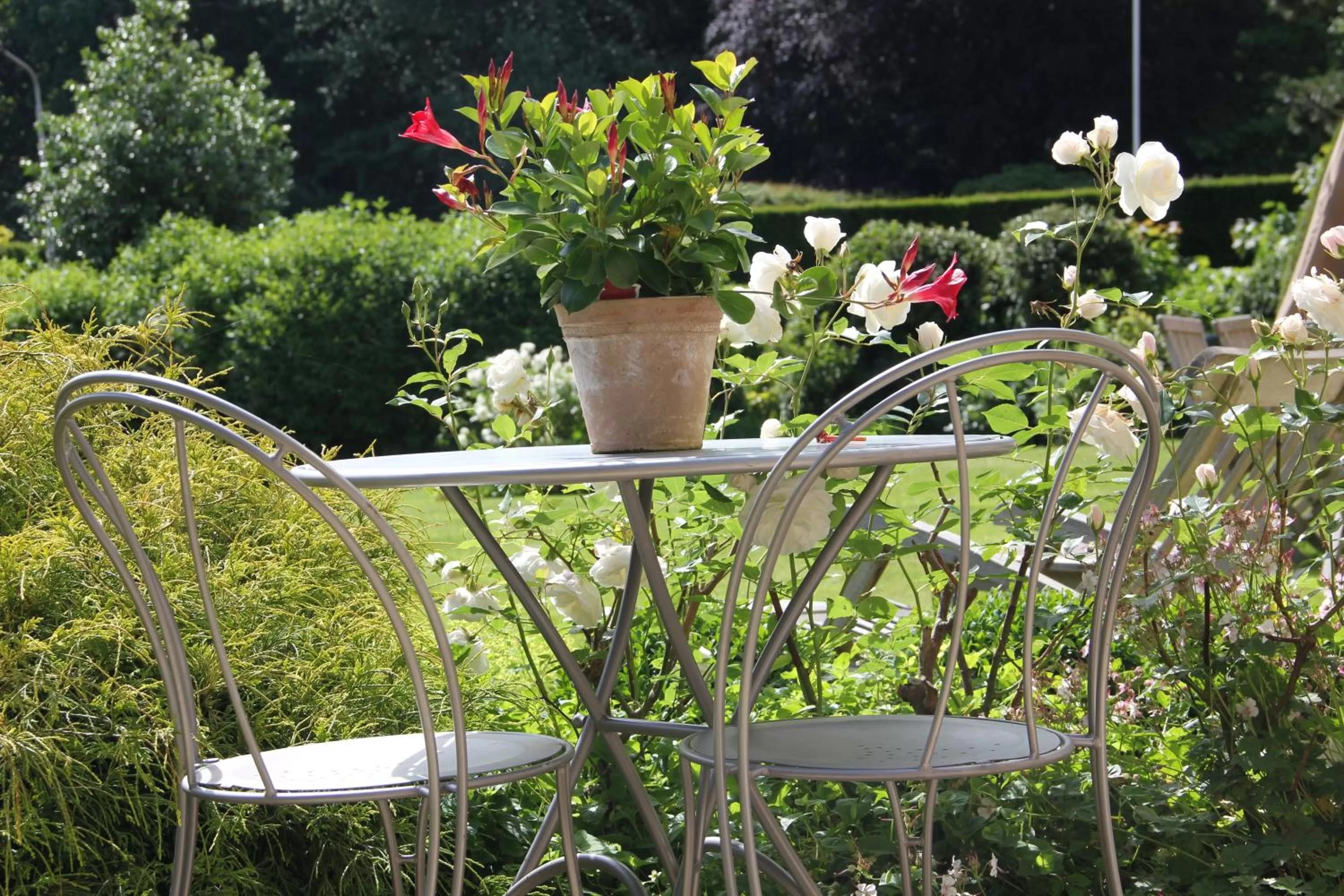 Garden in B&B L'Orangerie