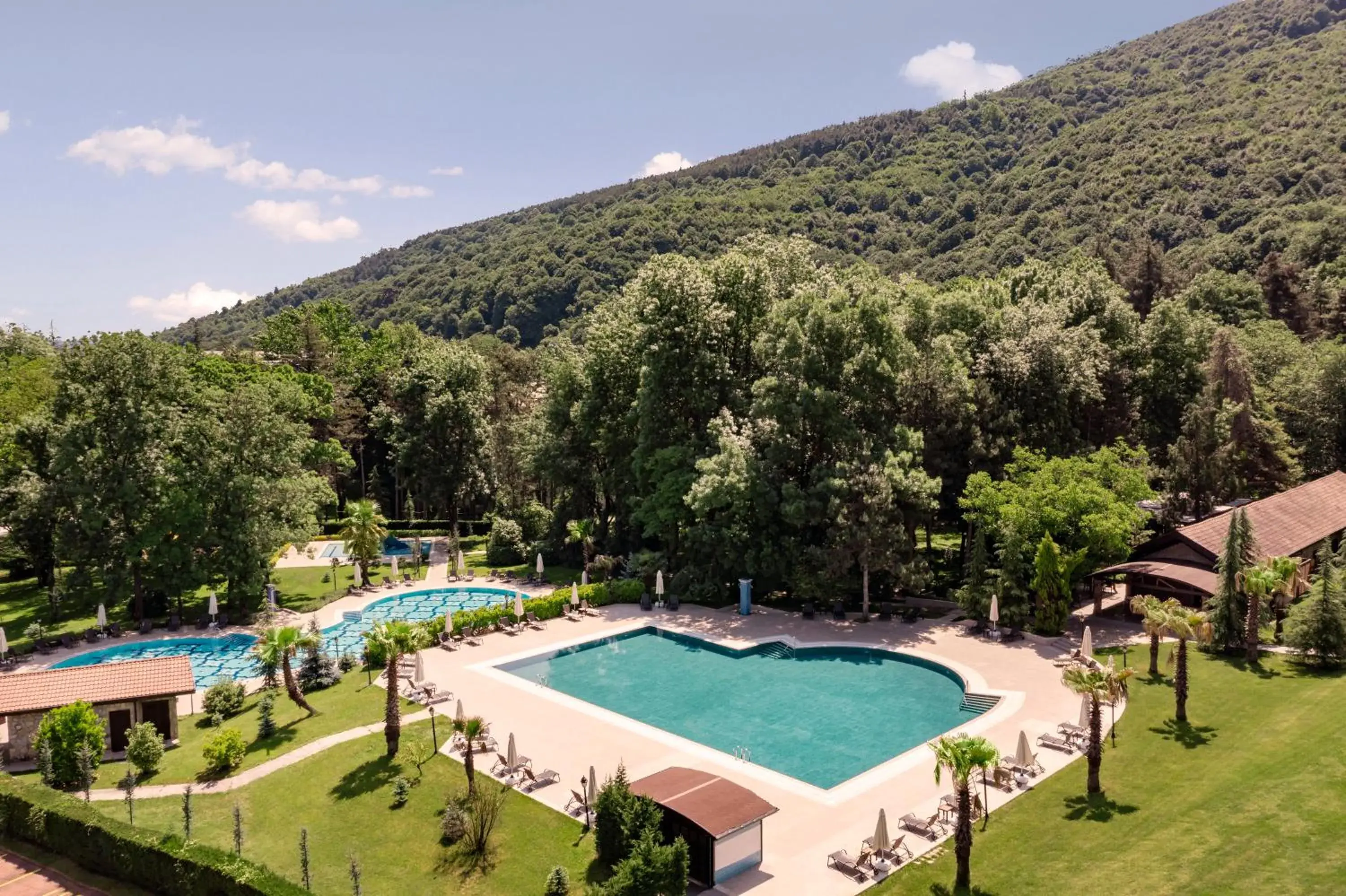 Pool View in NG Sapanca Wellness & Convention