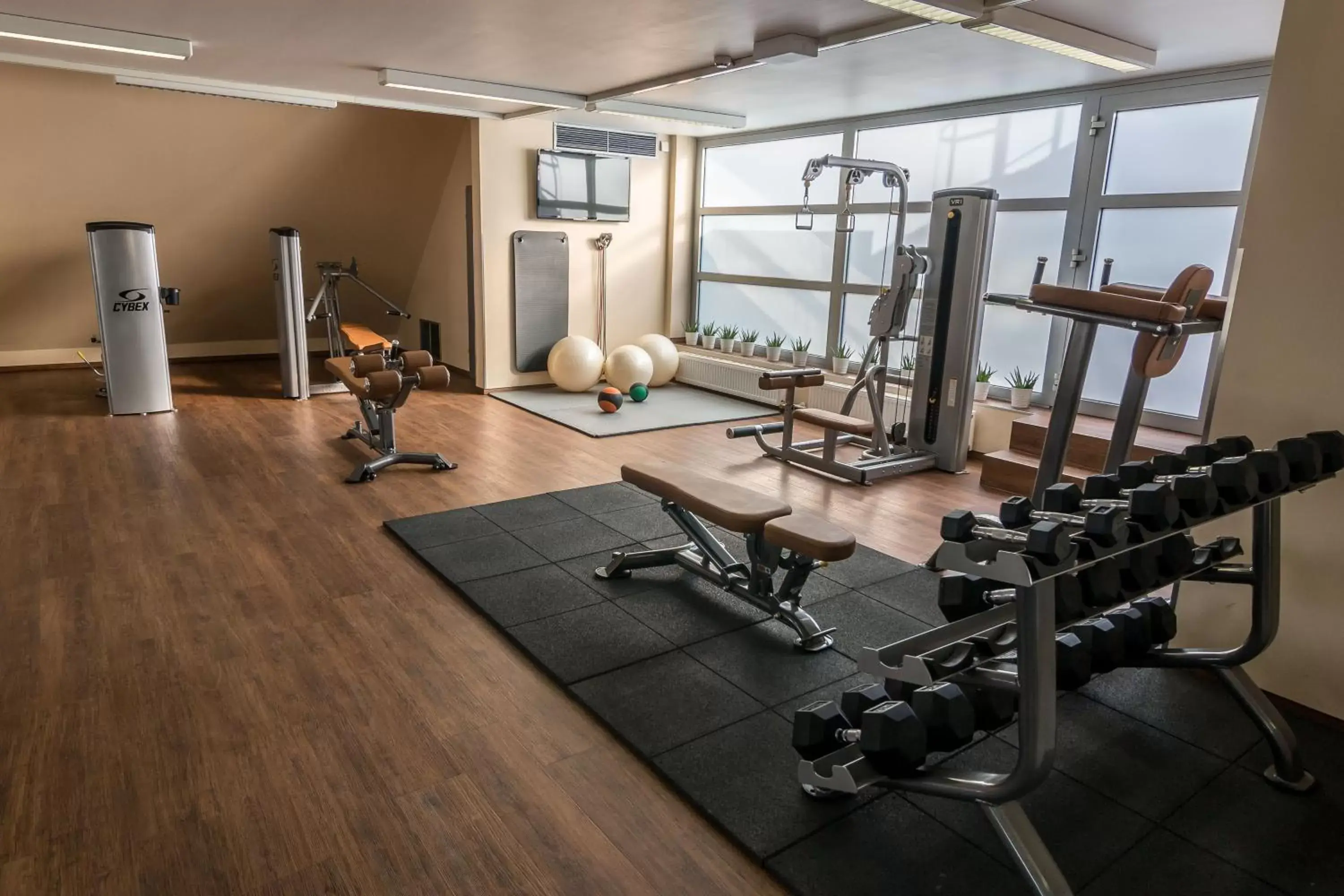 Fitness centre/facilities, Fitness Center/Facilities in Holiday Inn Budapest-Budaörs, an IHG Hotel