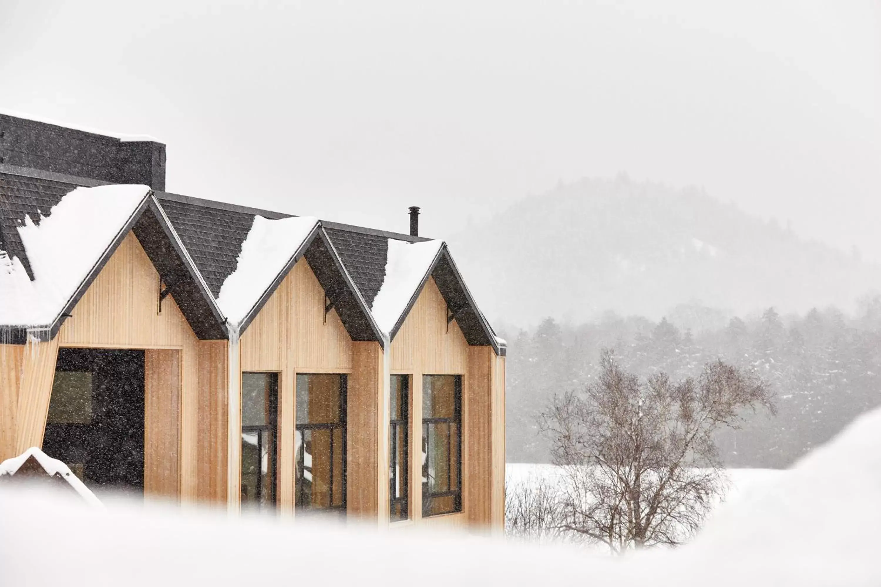 Property building, Winter in Bluebird Lake Placid