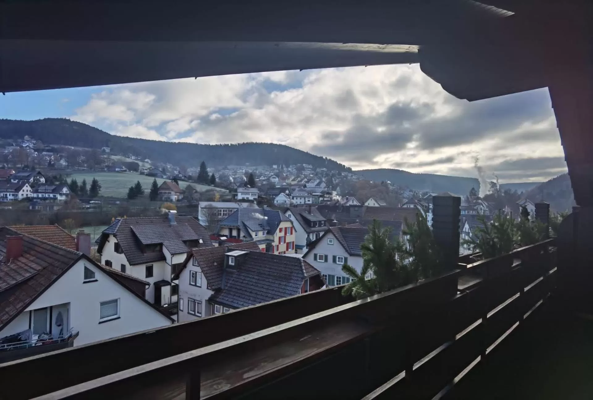 Natural landscape in Hotel Rose