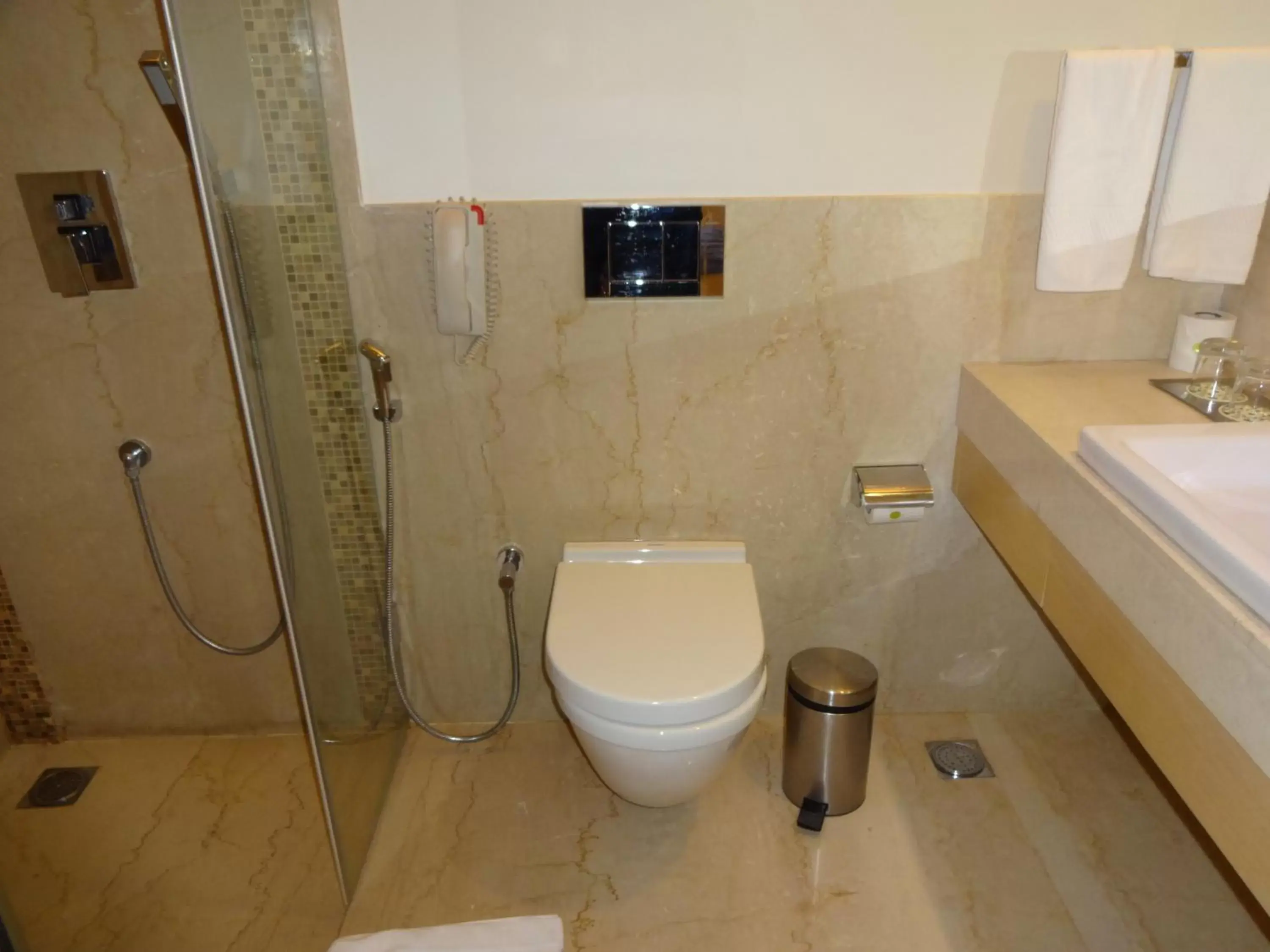 Toilet, Bathroom in The Raintree, Anna Salai
