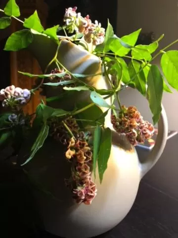 Lobby or reception in Munroe Inn Boutique Hotel