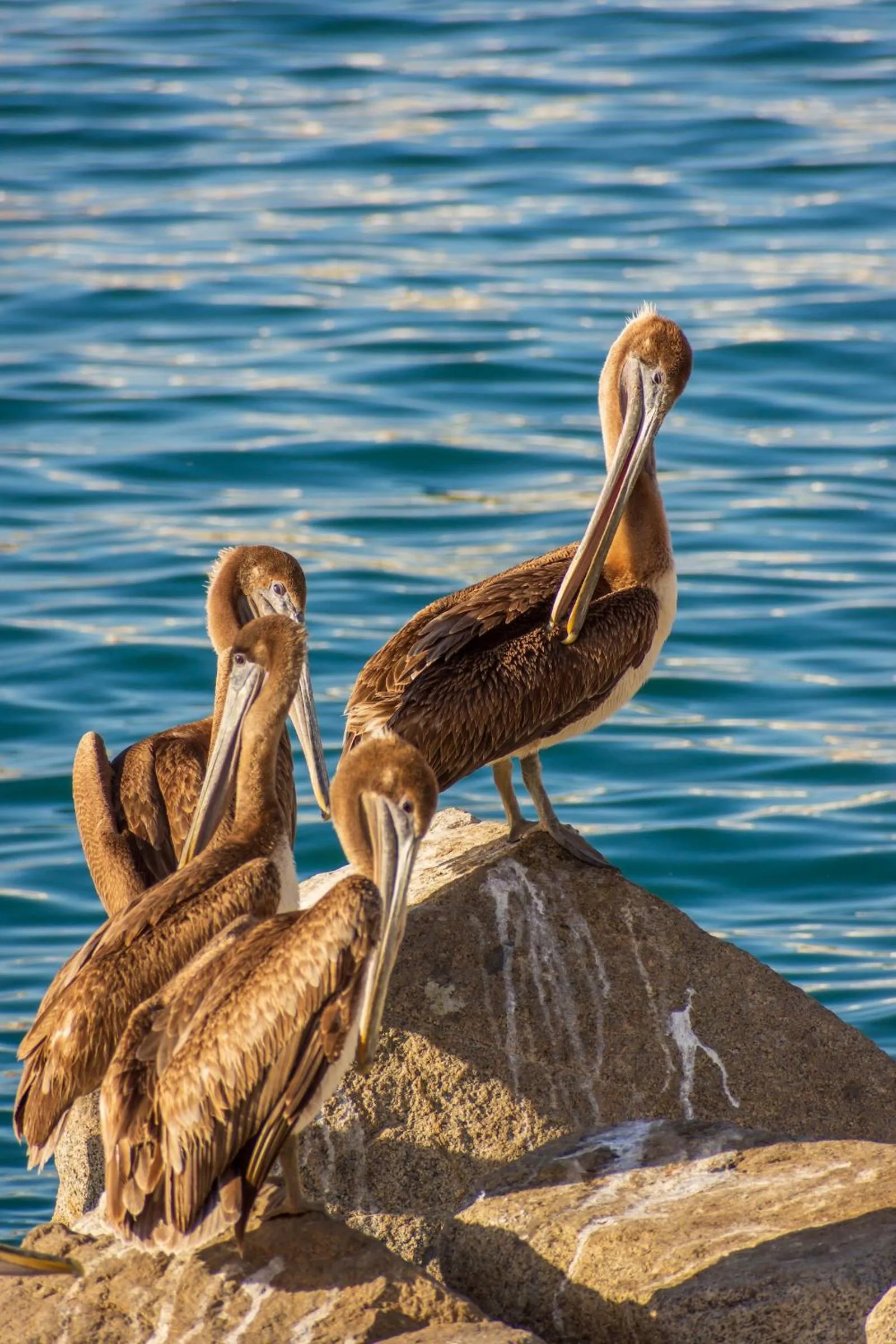 Nearby landmark in Morro Bay Beach Inn