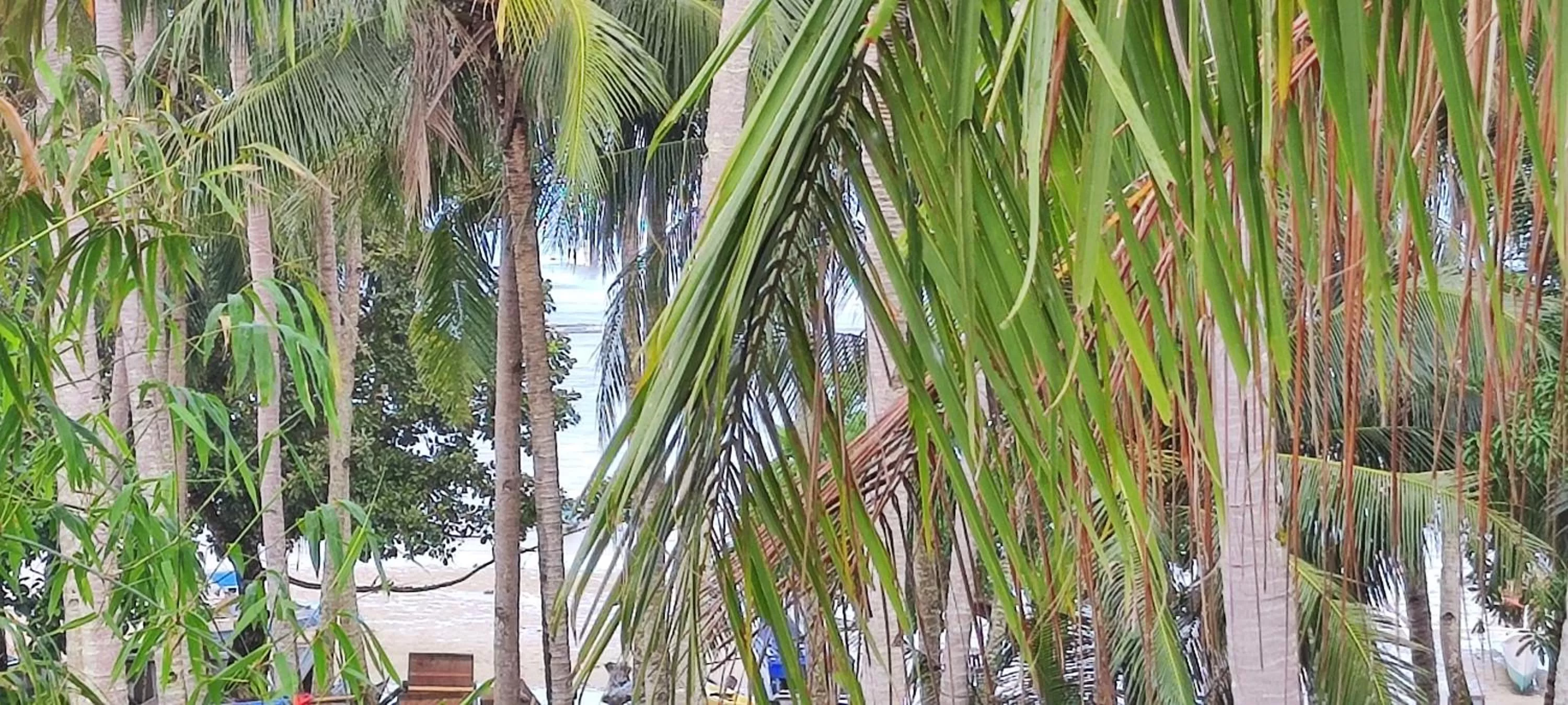 Bird's eye view in Vali-Joe Travel Lodge