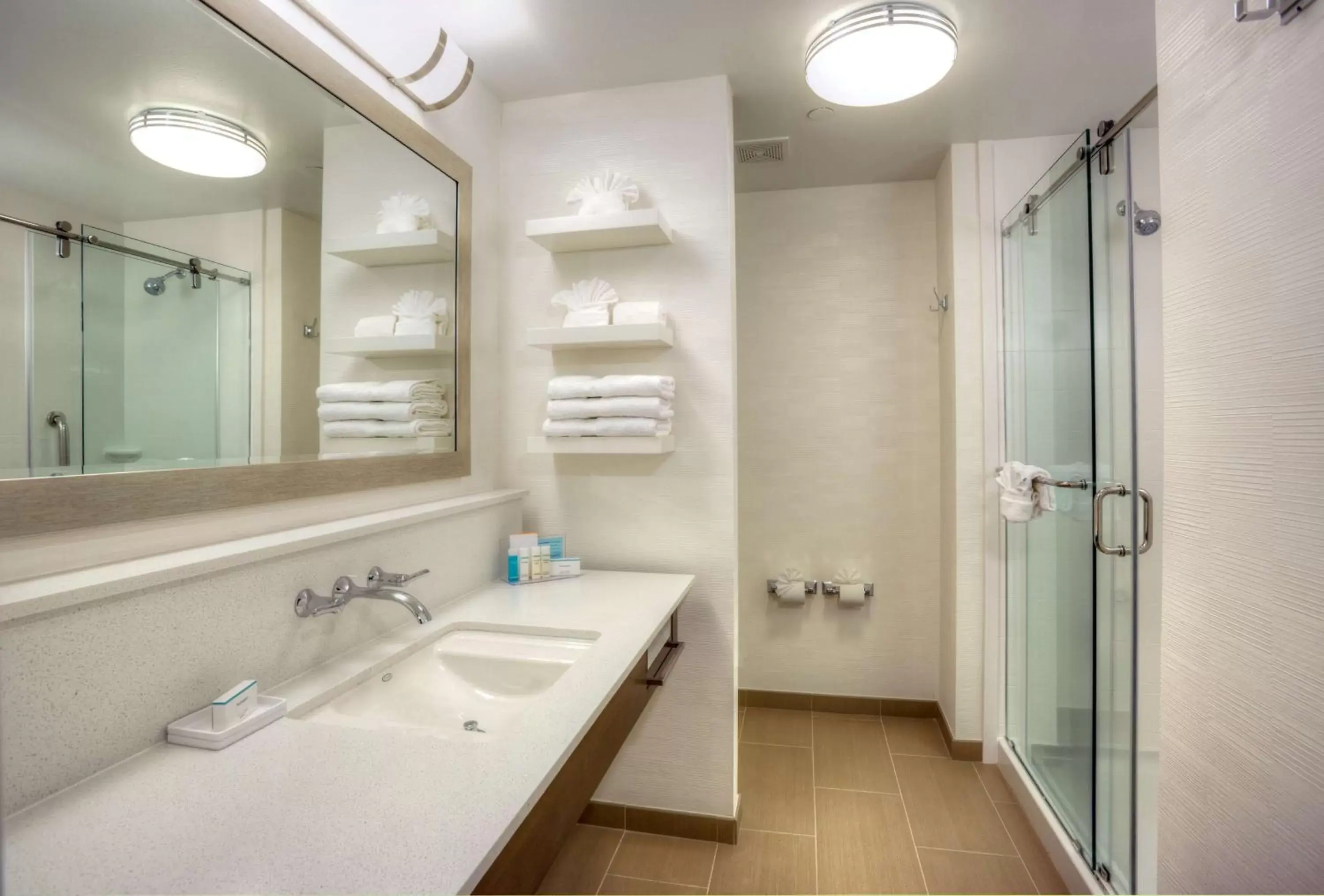 Bathroom in Hampton Inn & Suites Dallas/Plano-East