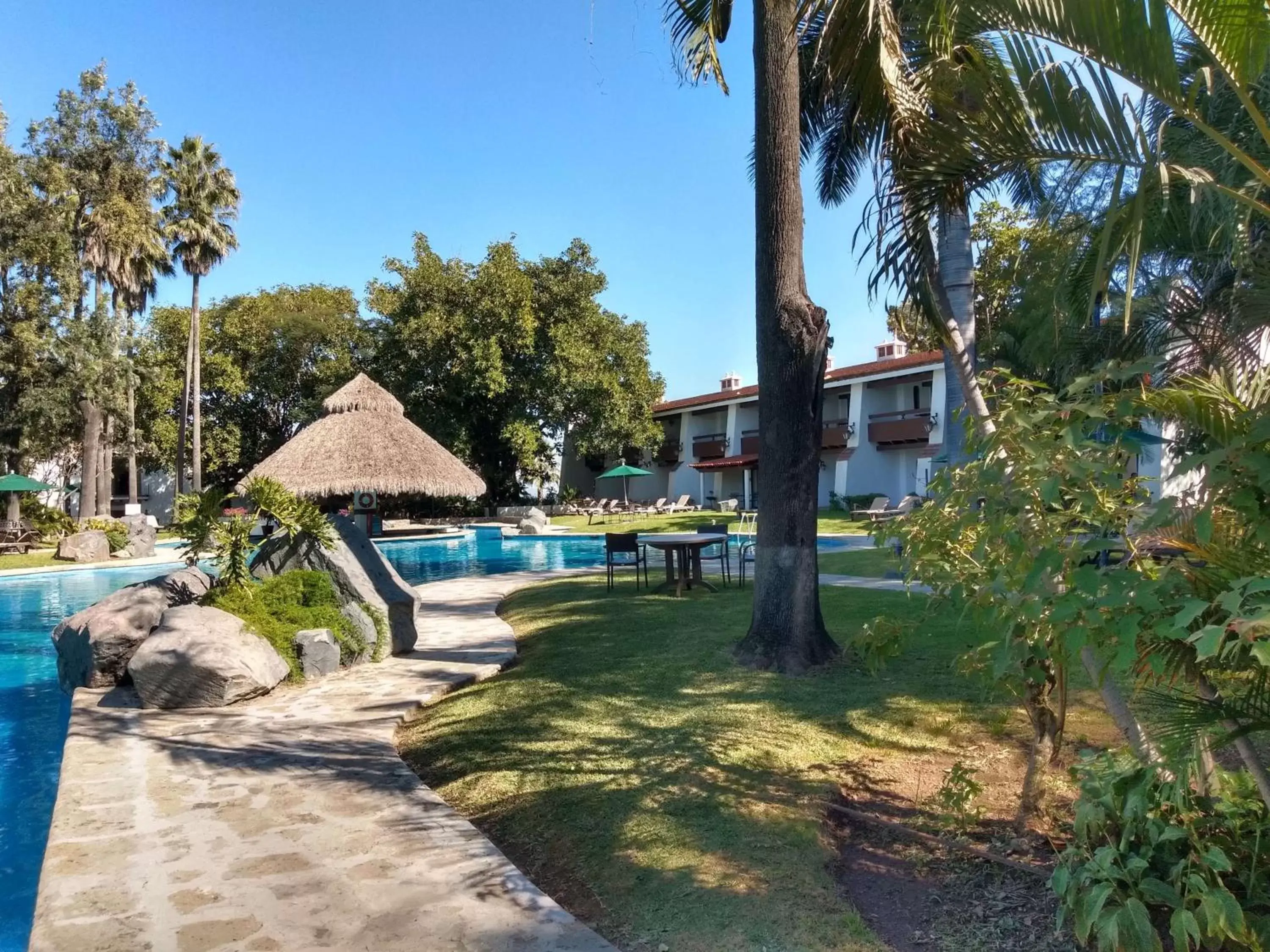 Activities, Swimming Pool in Radisson Hotel Tapatio Guadalajara