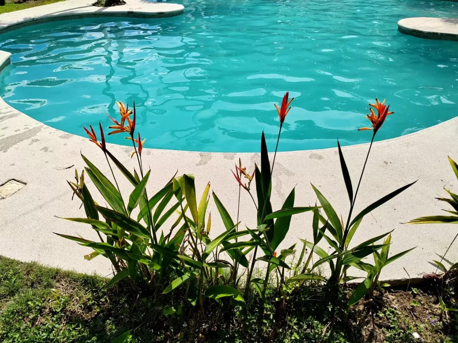 Swimming pool, Beach in Hotel Catappa