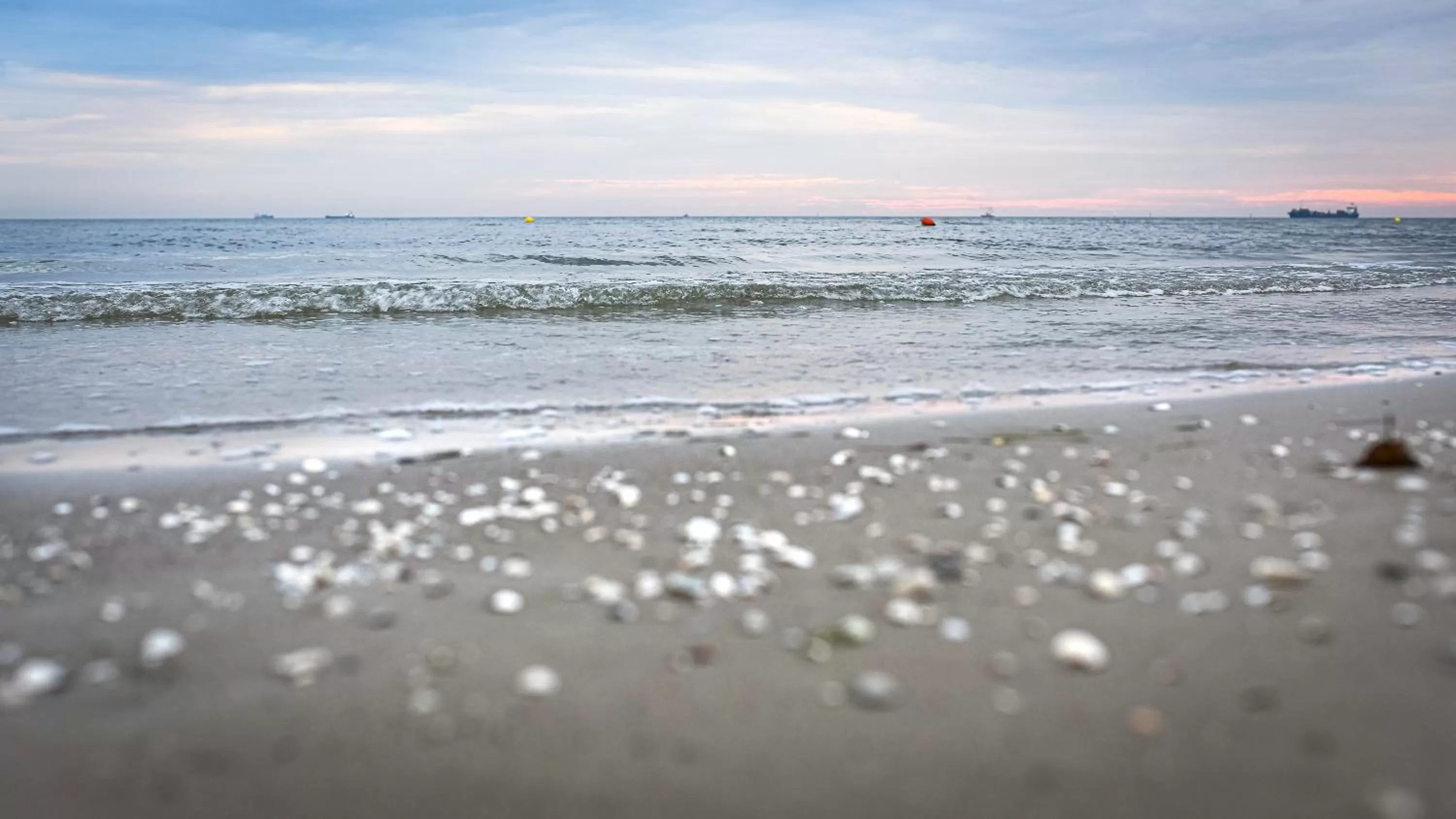 Beach in Villa Bałtycka