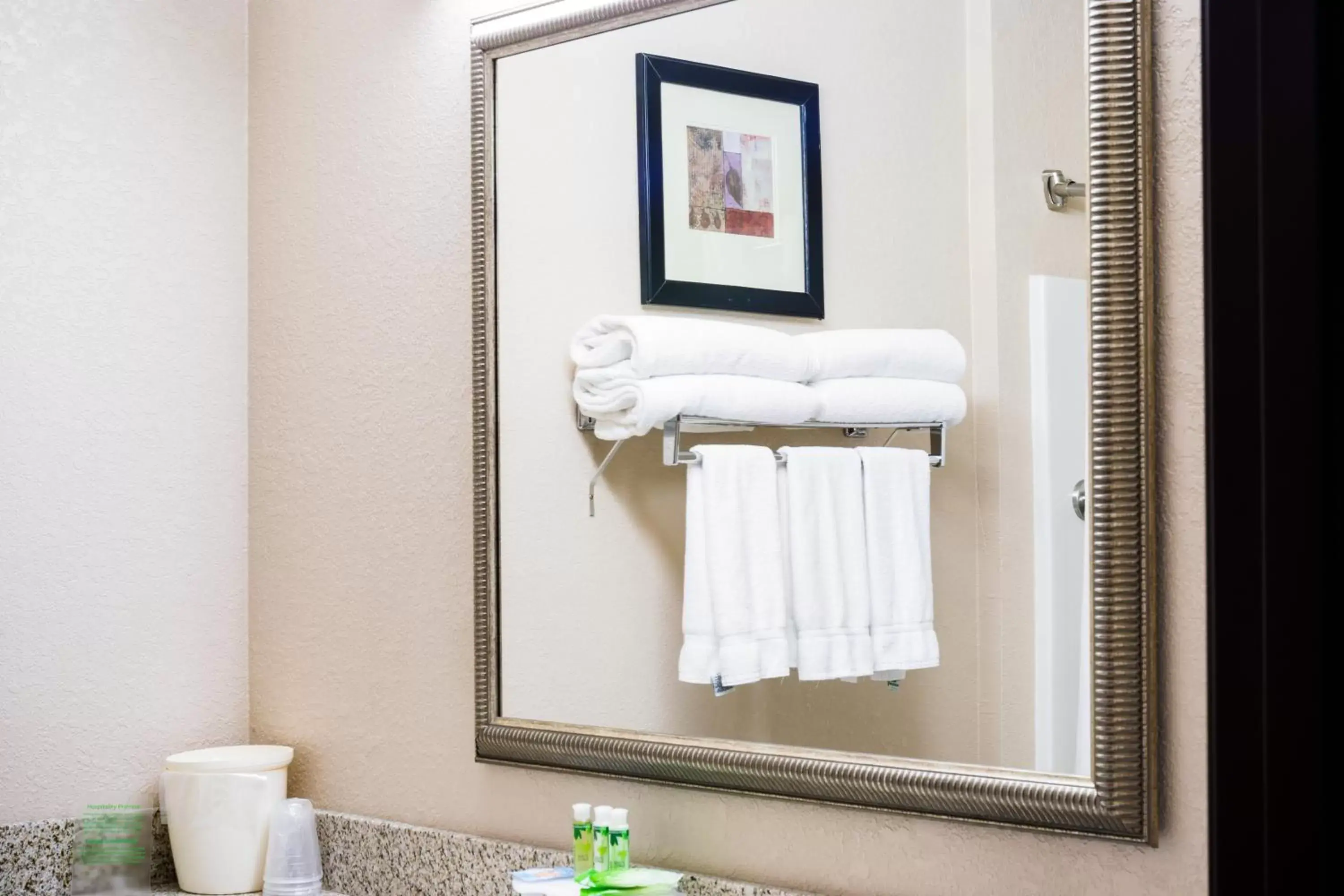 Bathroom in Holiday Inn Express Hotel & Suites Acme-Traverse City, an IHG Hotel