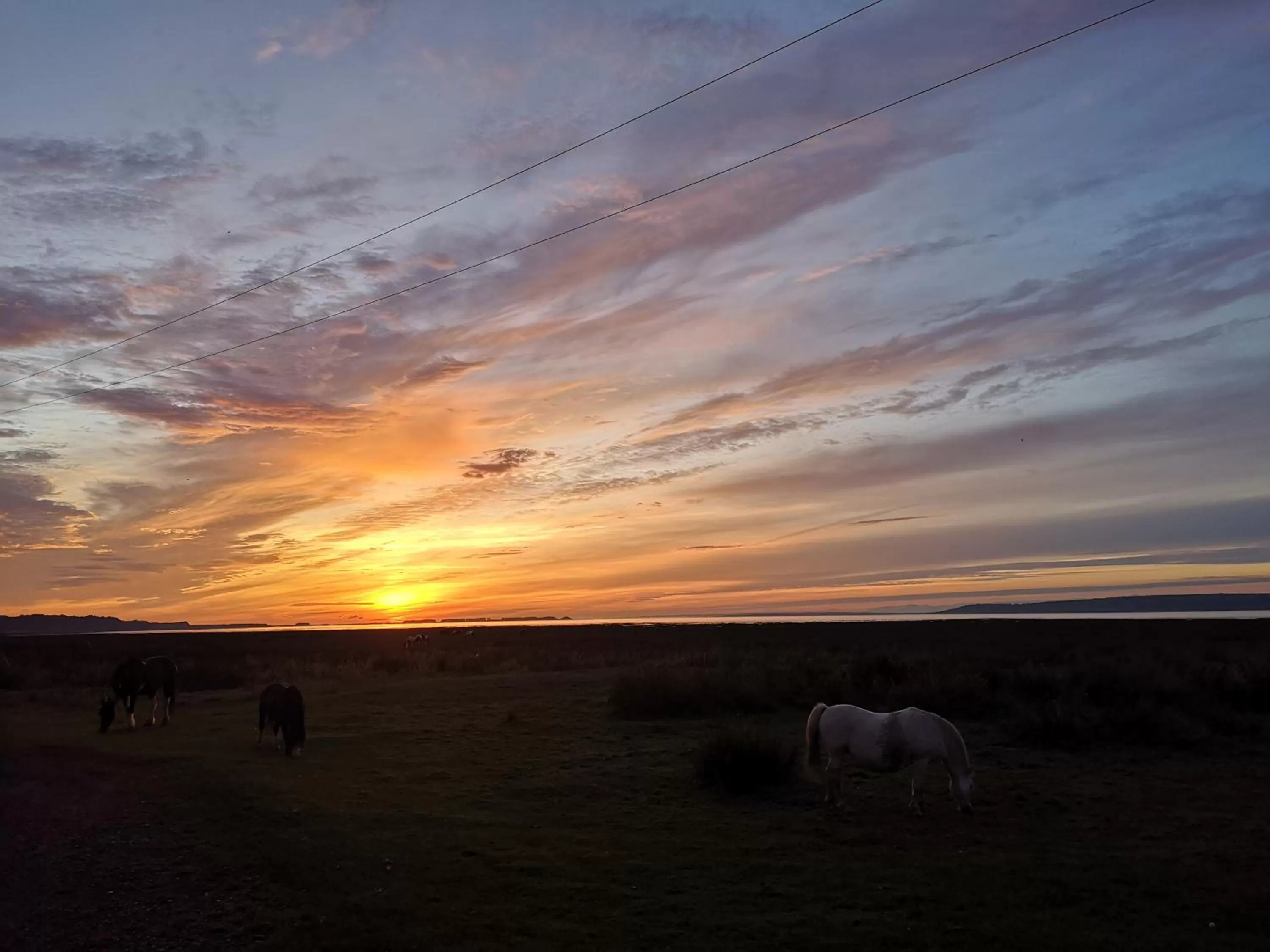 Natural landscape, Sunrise/Sunset in Y Cuddfan Gower
