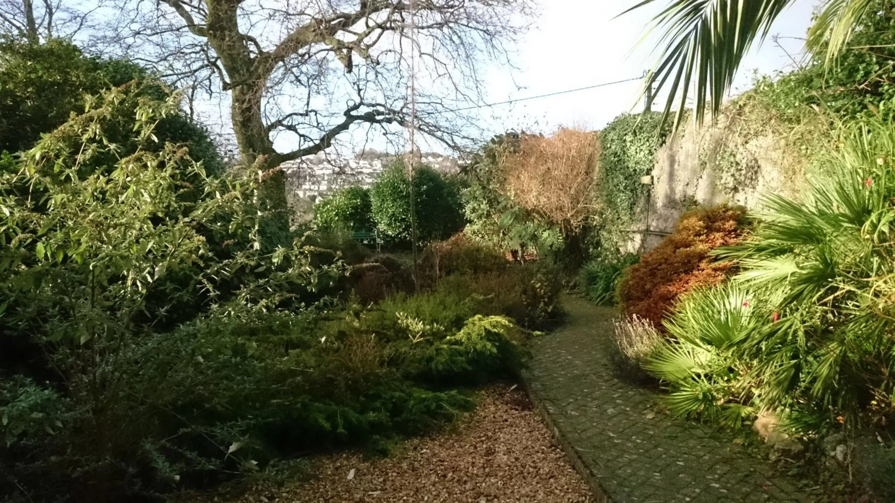 Garden in Bankside Bed & Breakfast