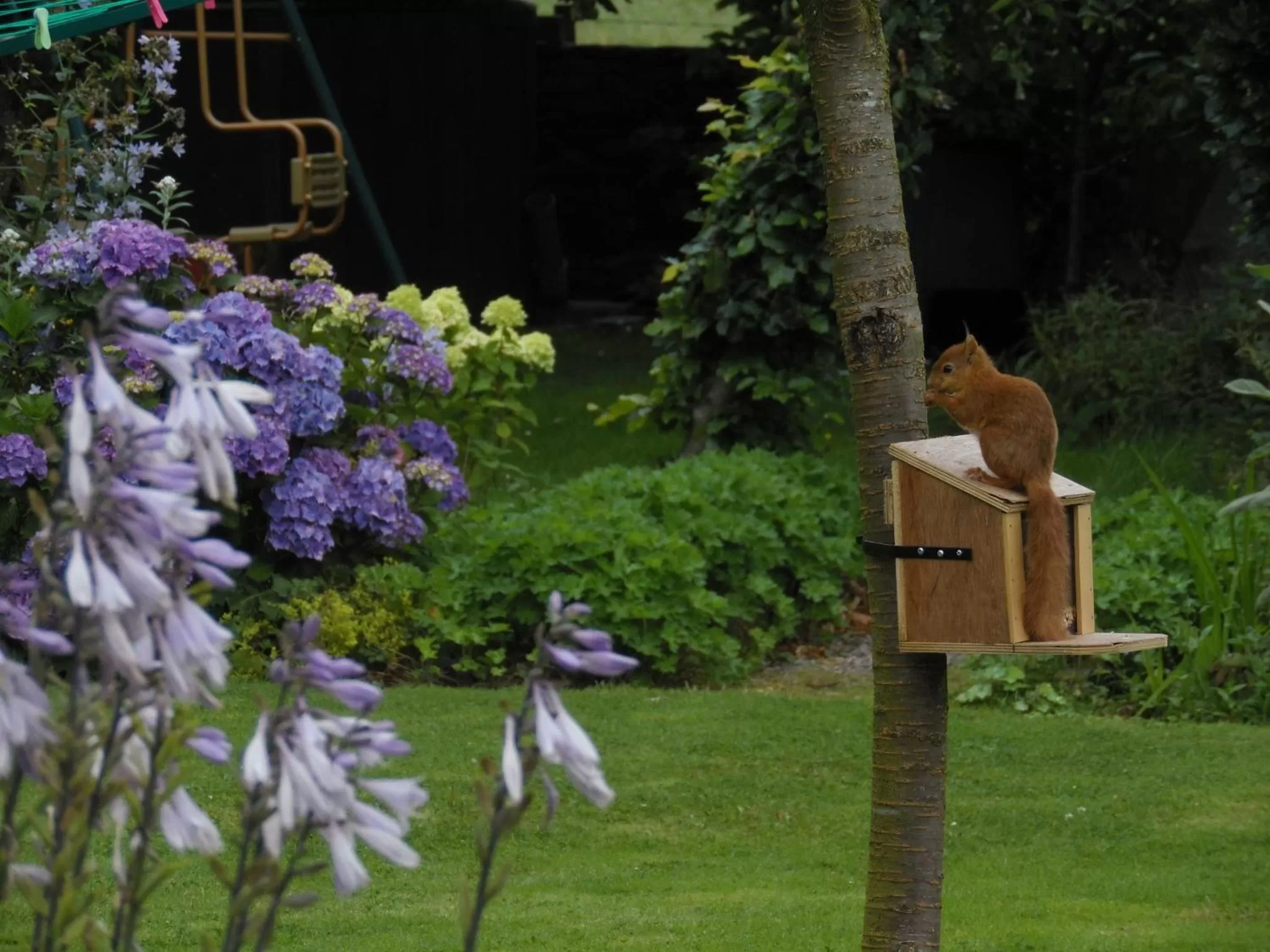 Garden in The Haven B&B