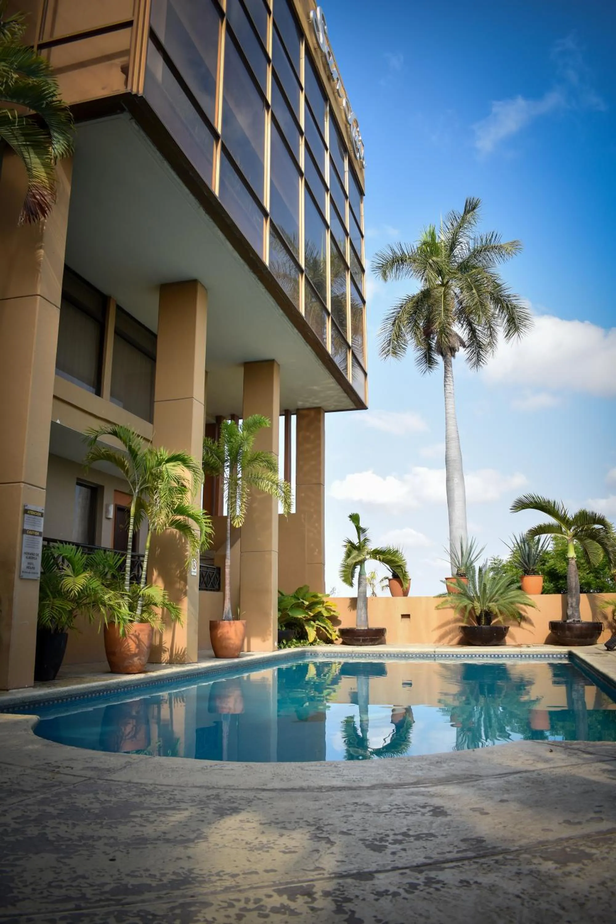 Pool view in Hotel San Luis Lindavista