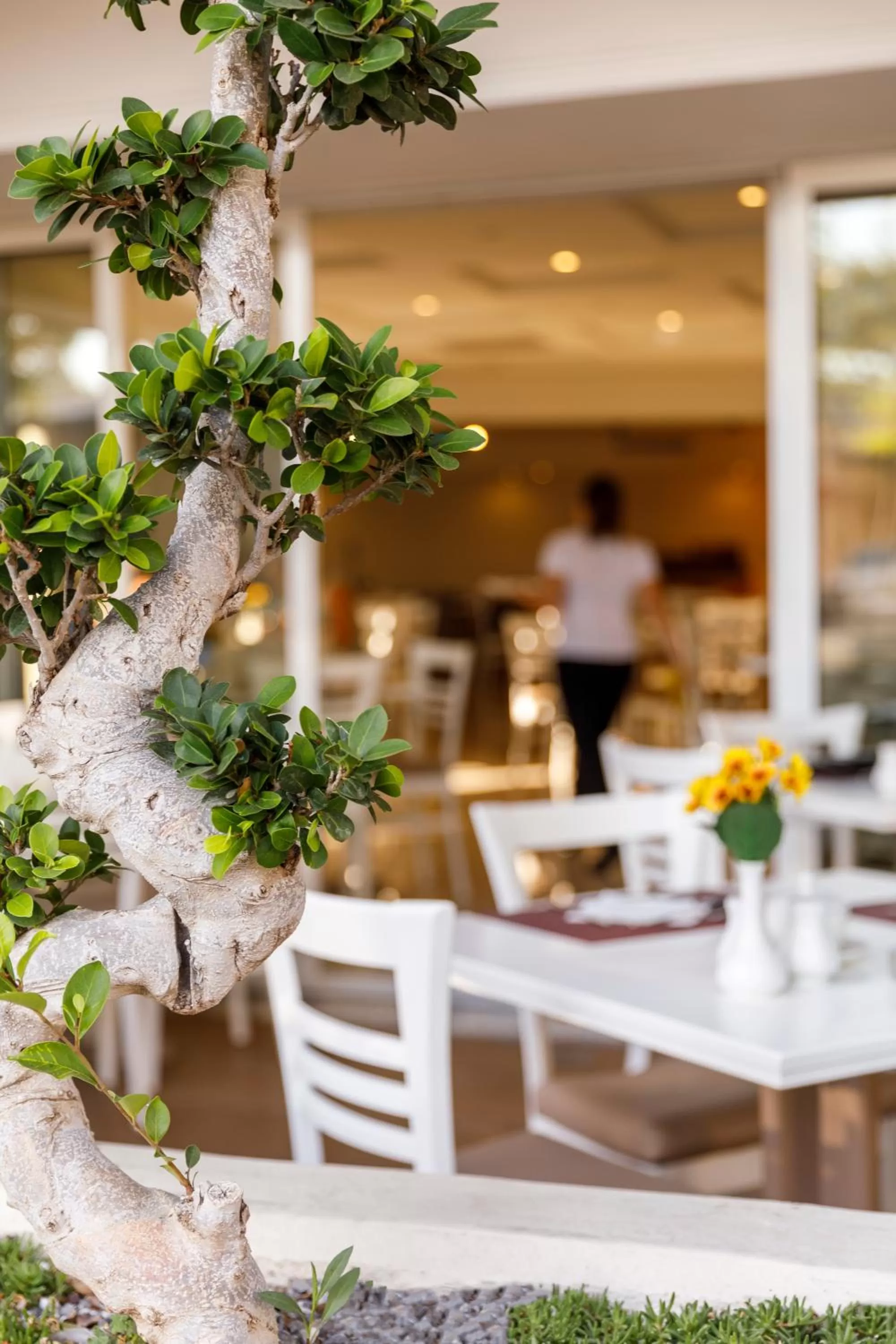 Lunch in Best Western Plus Hotel Plaza