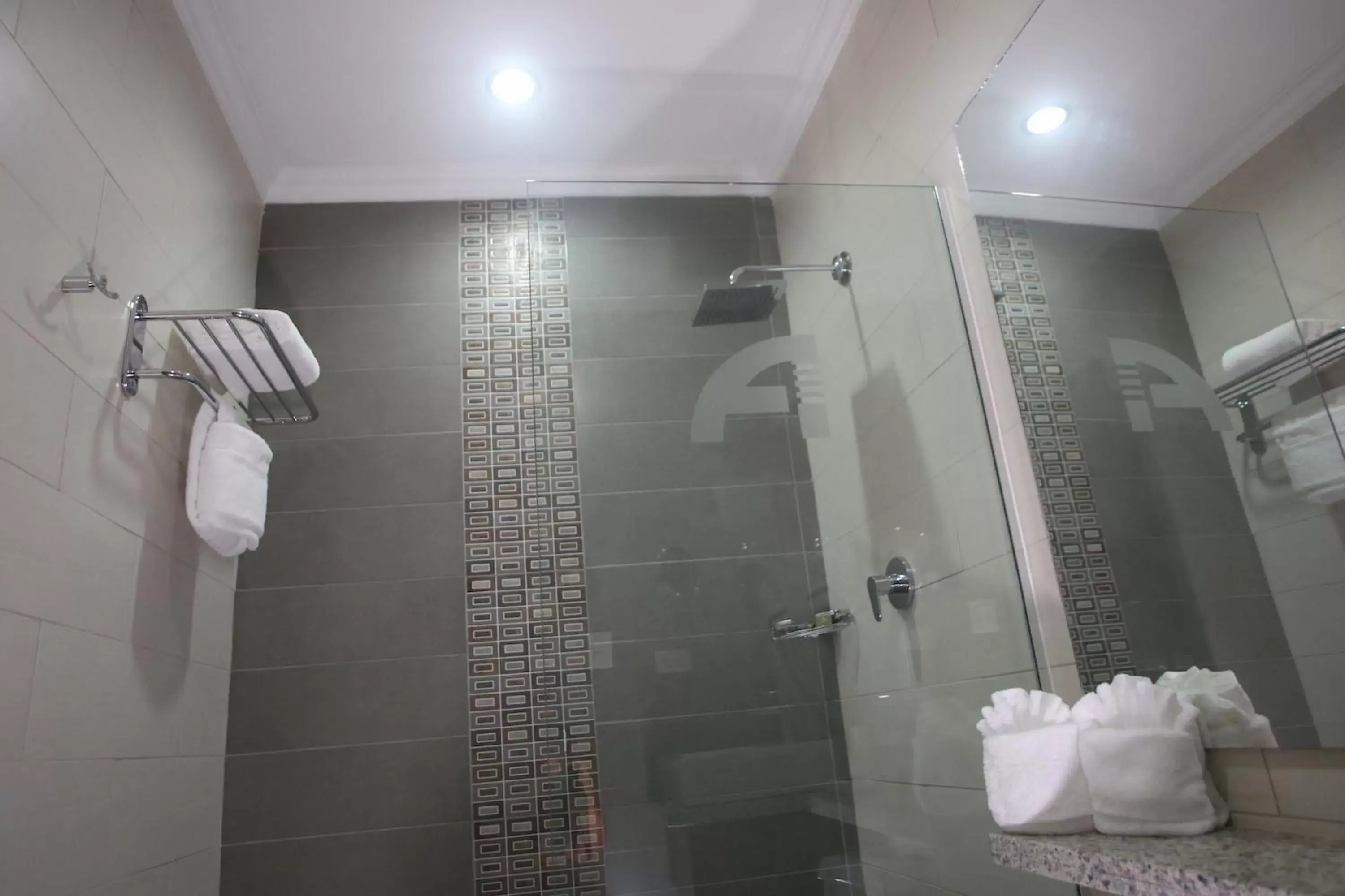 Shower, Bathroom in Aranjuez Hotel & Suites