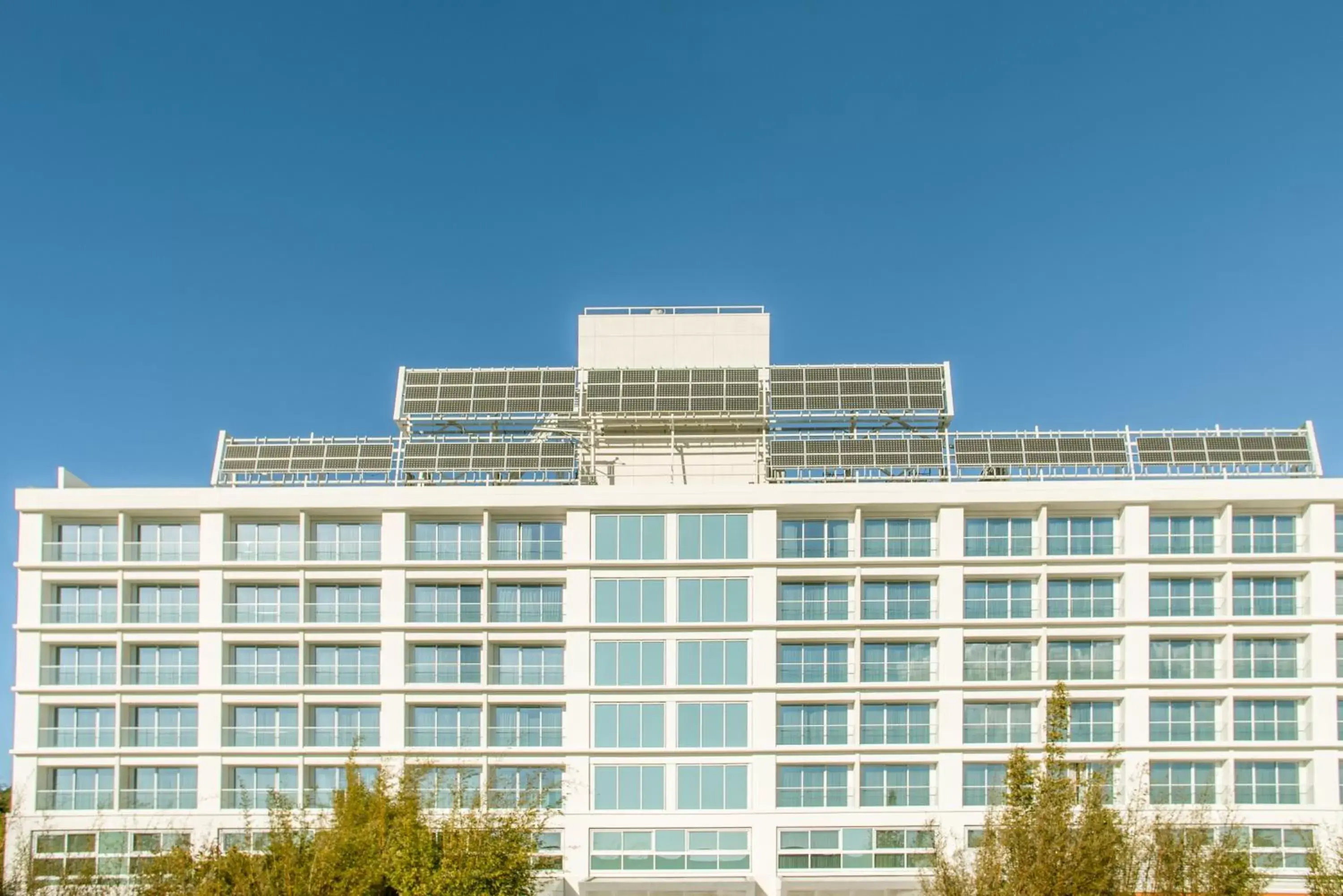 Property Building in Miyako Hybrid Hotel Torrance