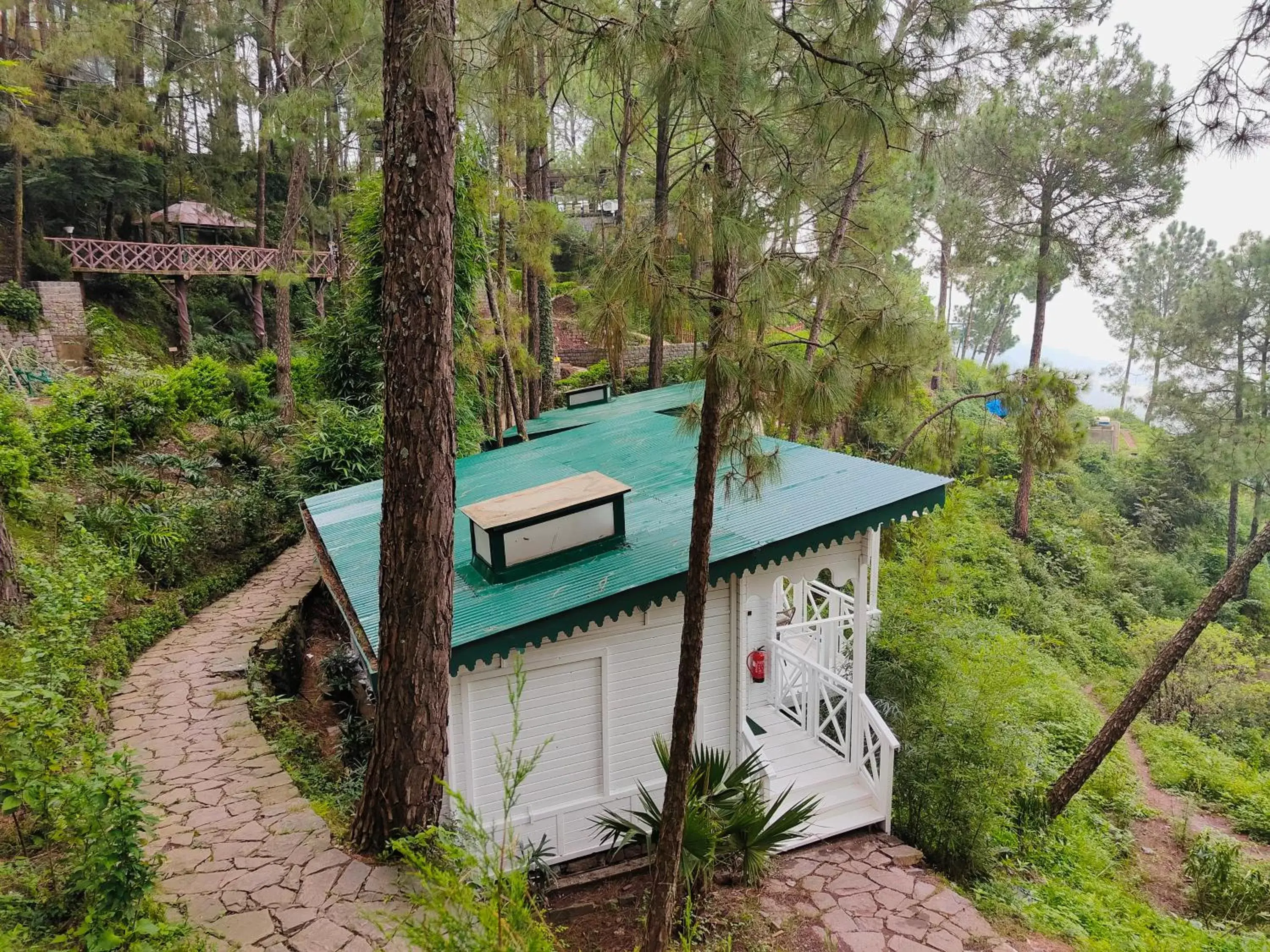 View (from property/room) in Kasauli Hills Resort