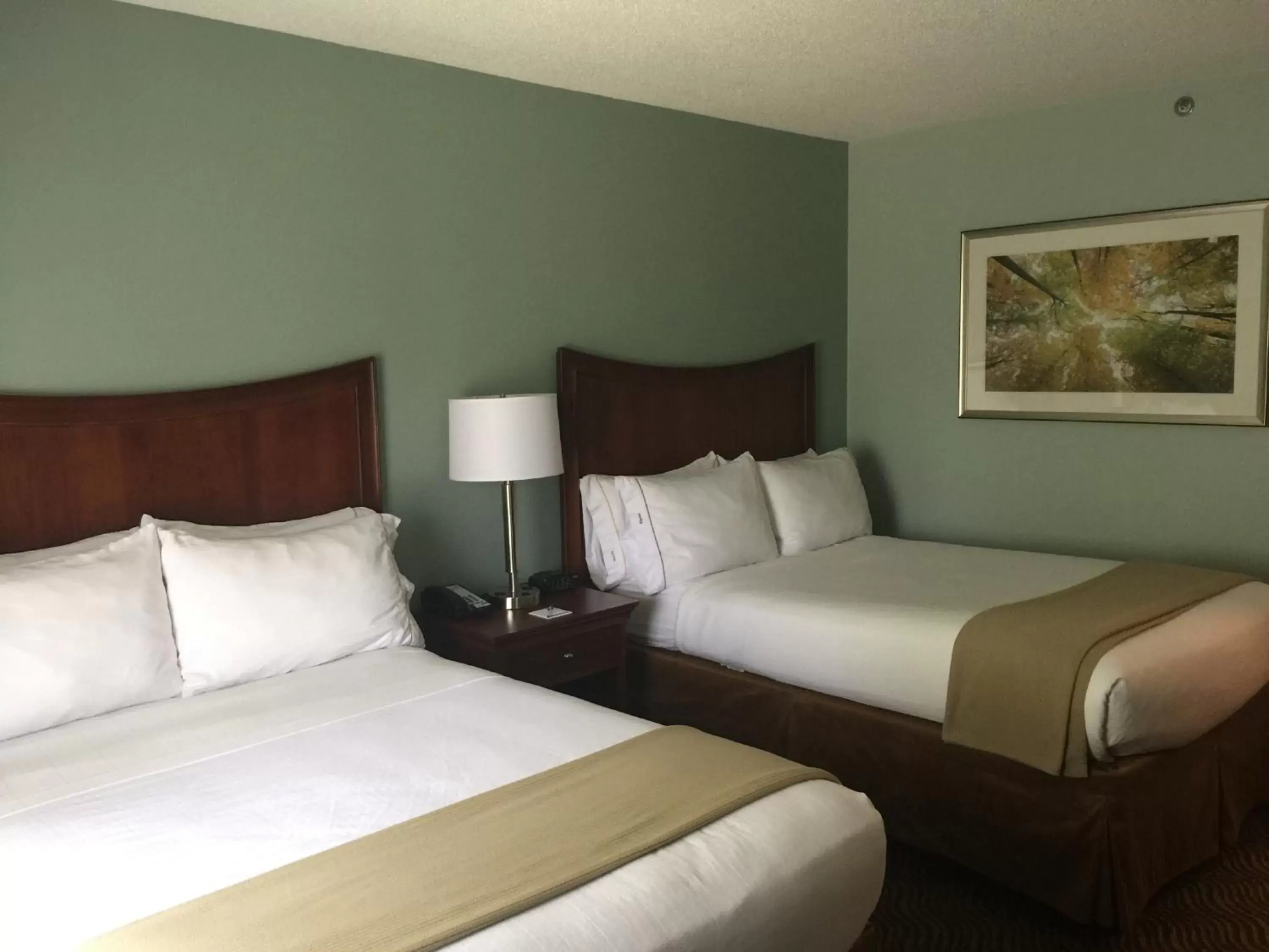 Bedroom, Bed in Baymont Inn & Suites Braselton