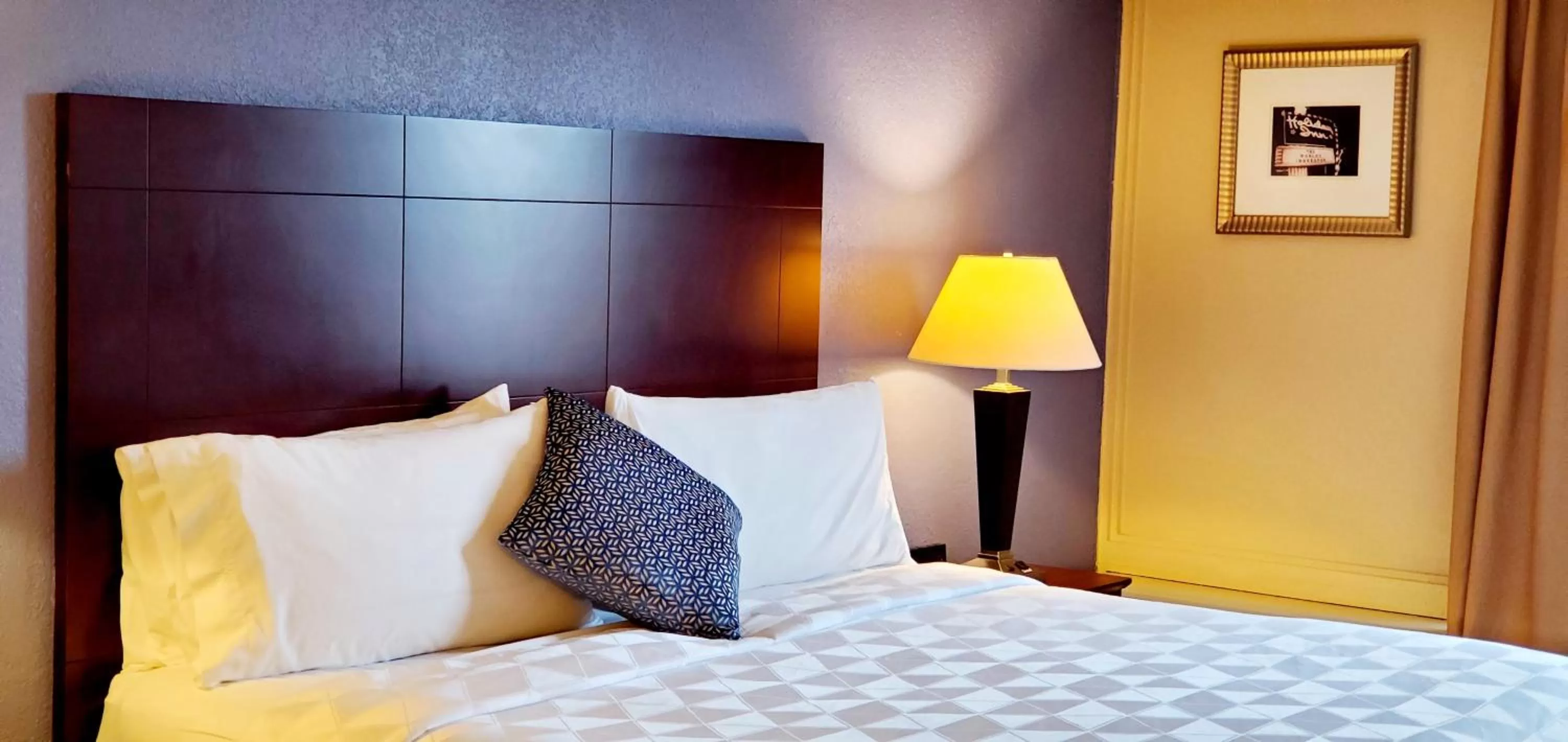 Standard King Room in Holiday Inn South Plainfield-Piscataway by IHG