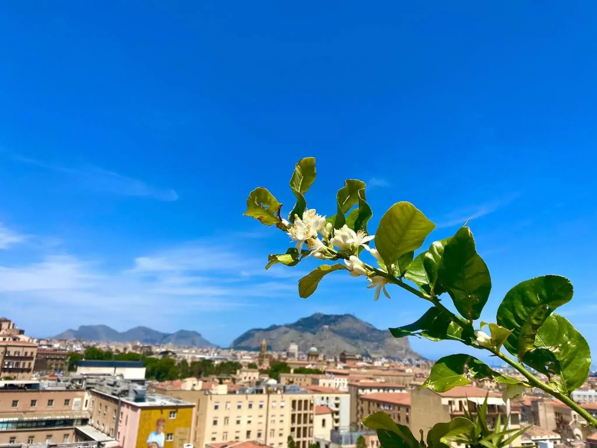 Balcony/Terrace in LeAlbe di Sicilia