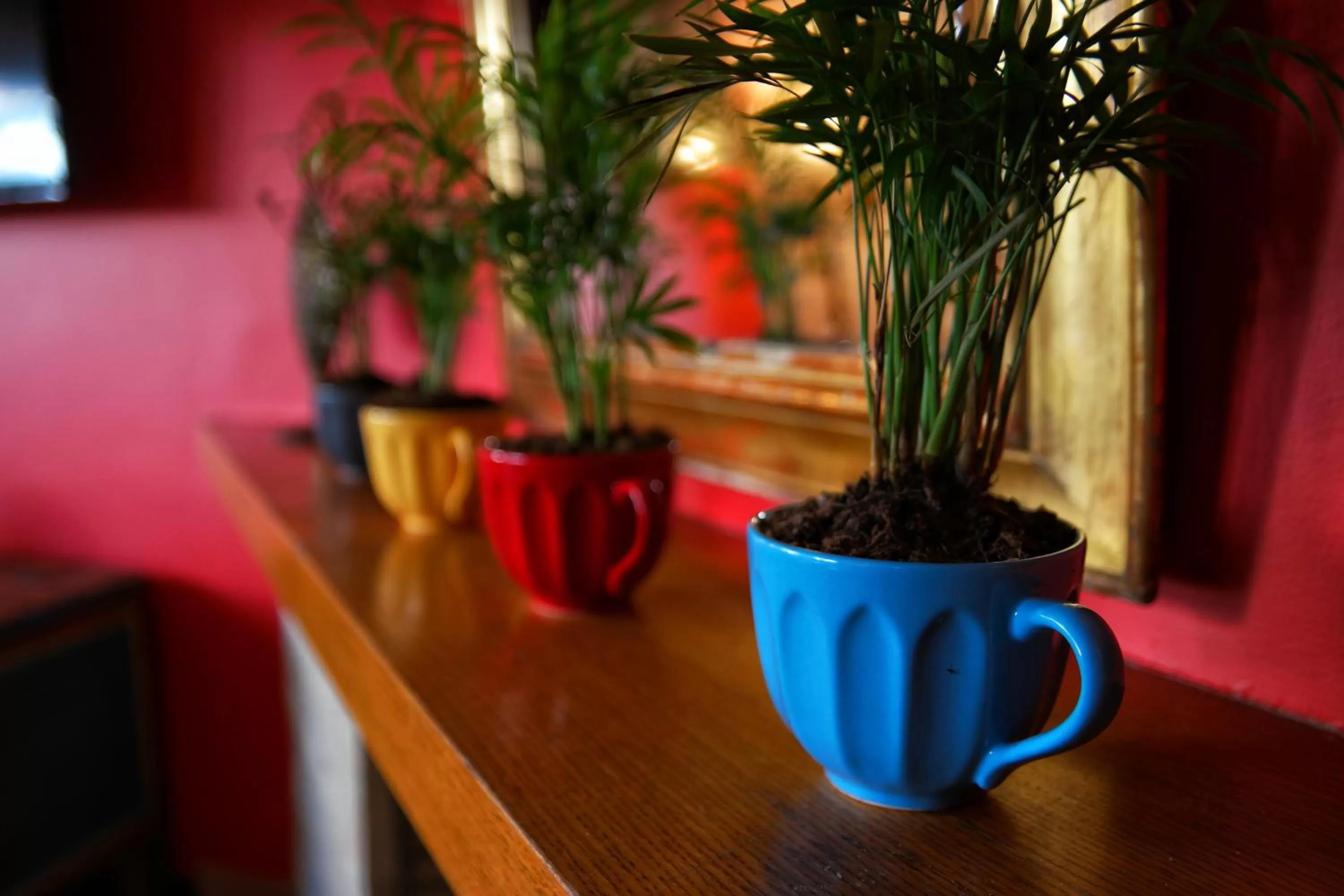 Lobby or reception in Nomade Old City Hotel