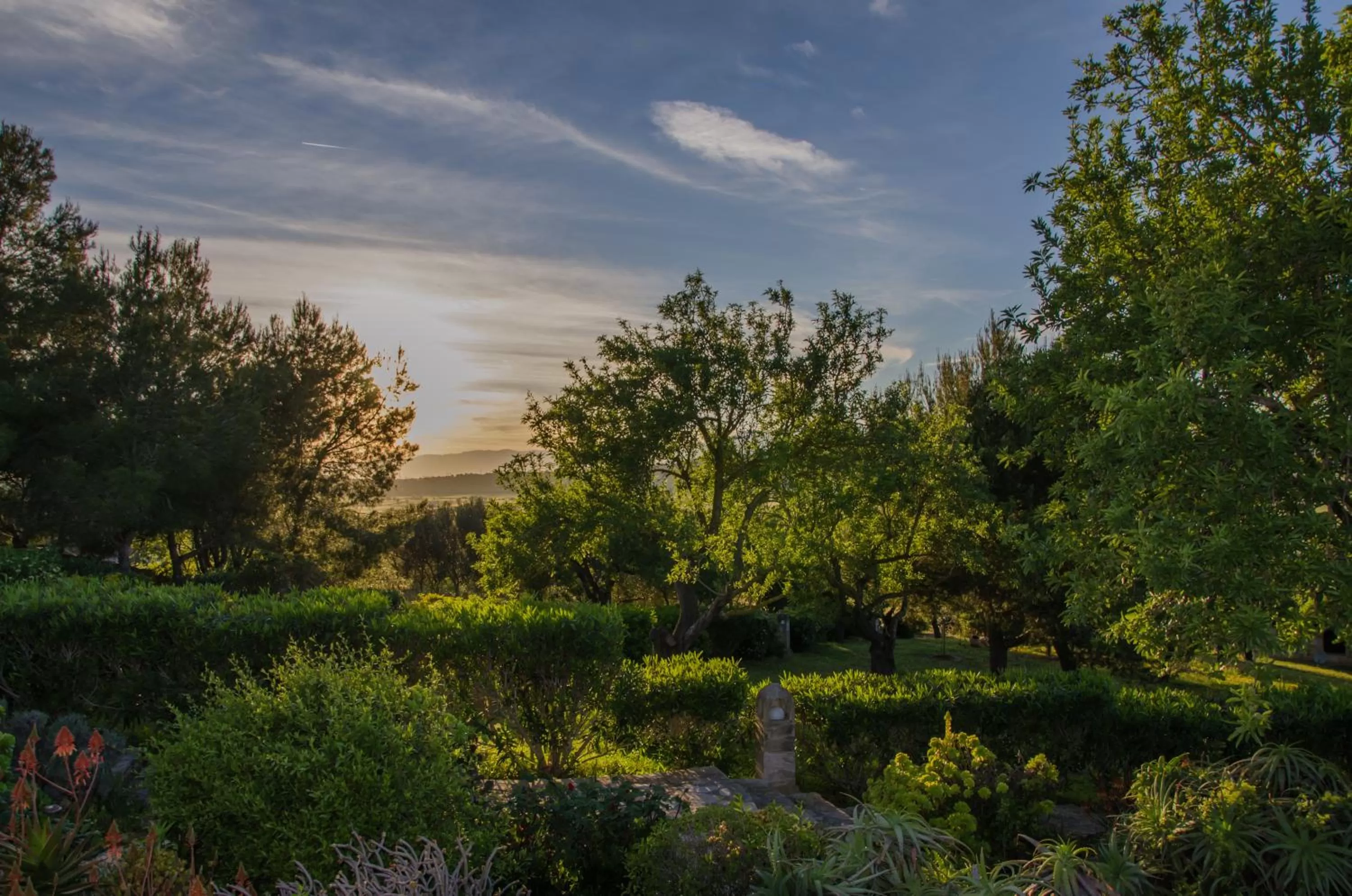 Garden view in Casa Font i Roig