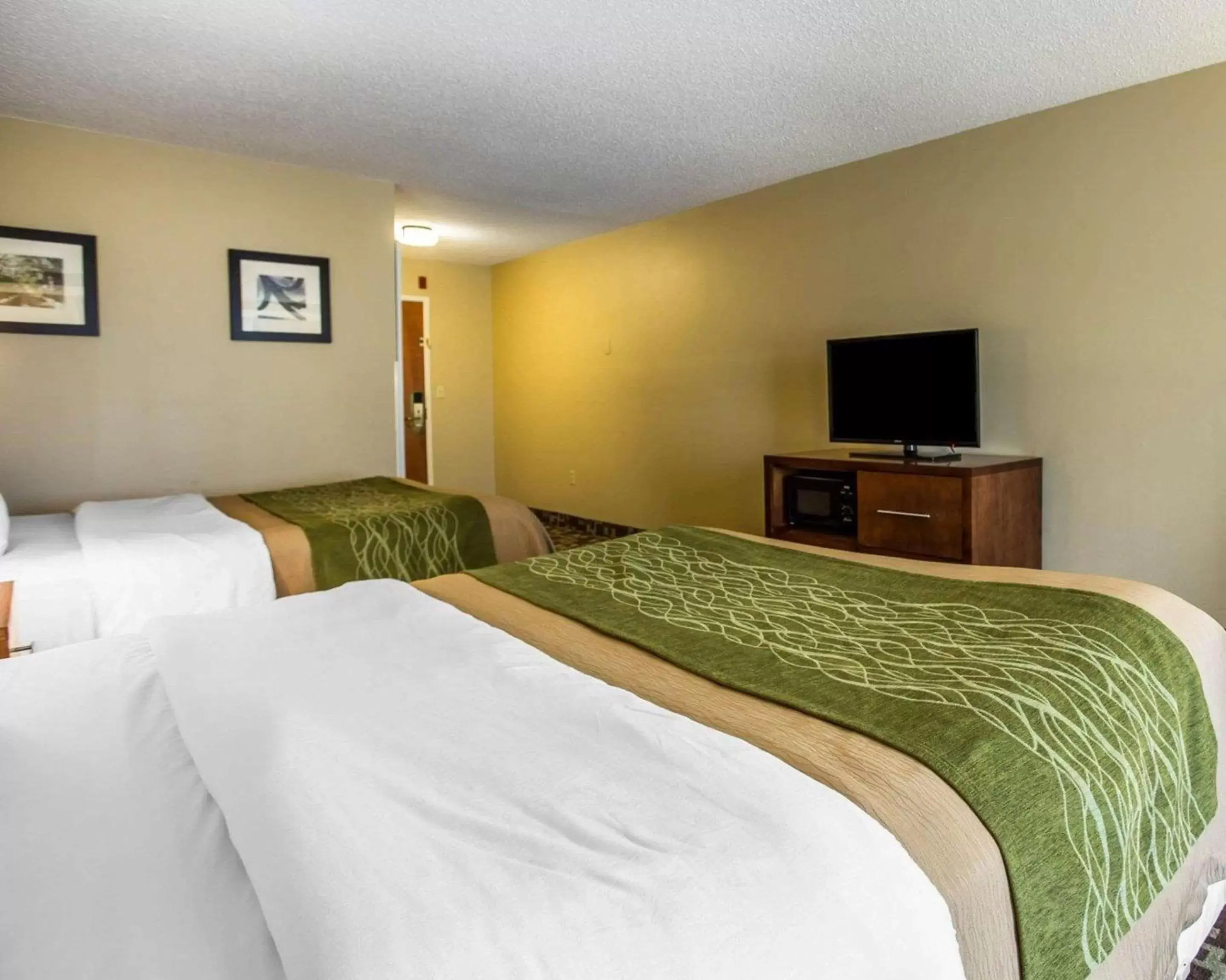 Photo of the whole room, Bed in Comfort Inn & Suites Walterboro I-95
